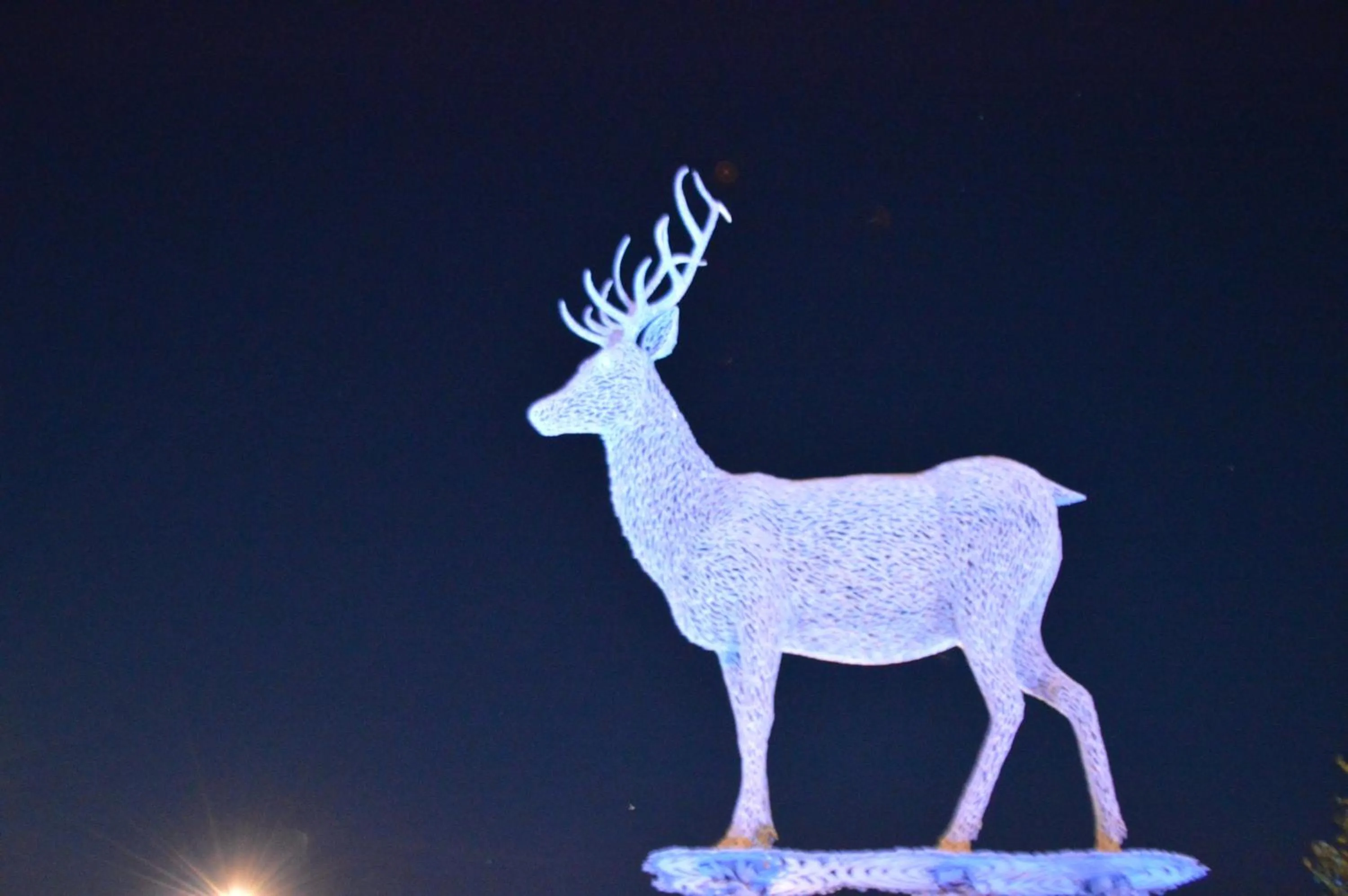 Nearby landmark in The Old Smiddy Cottage and Apartment