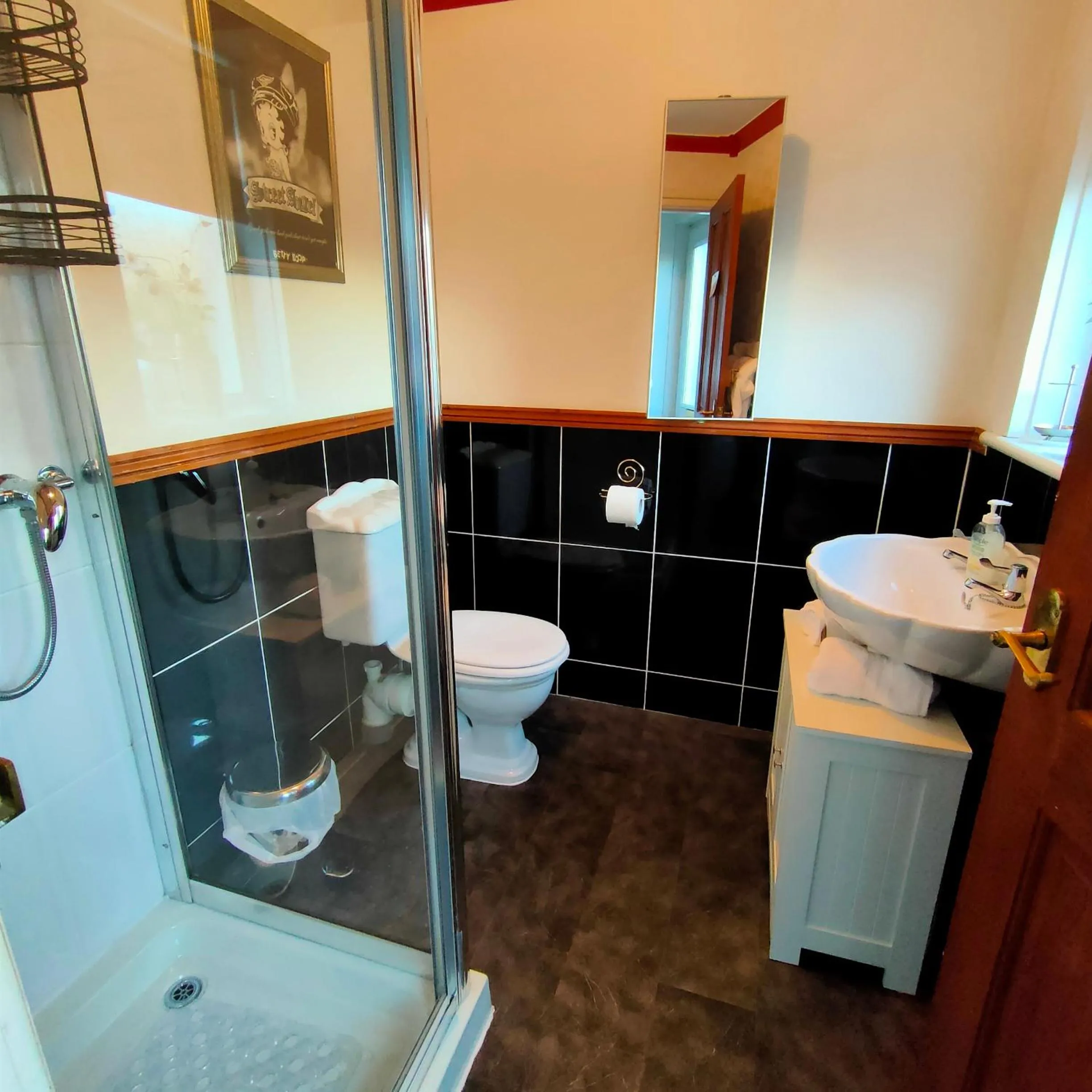 Shower in The Old Smiddy Cottage and Apartment