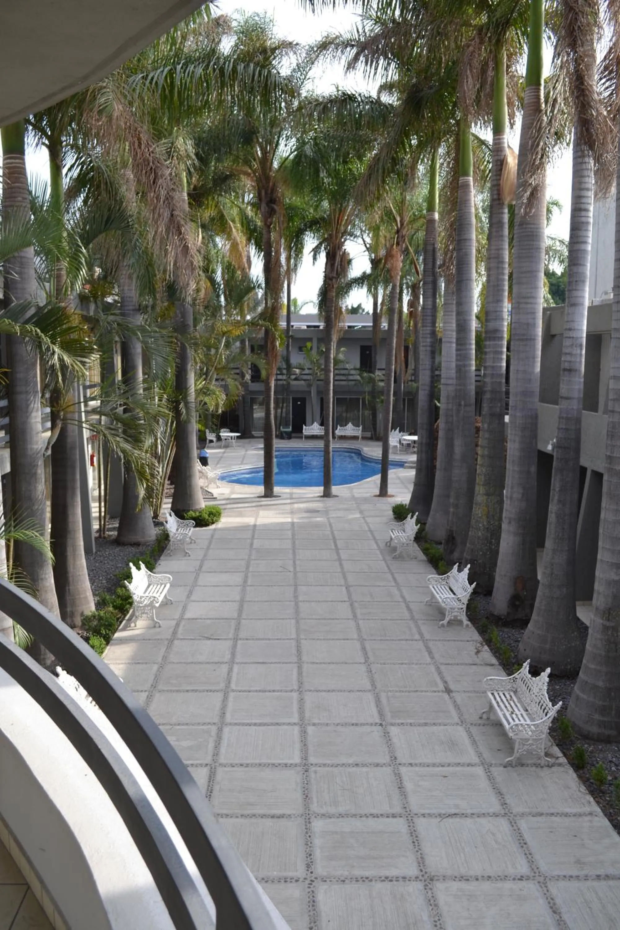 Pool view in Hotel Suites del Real