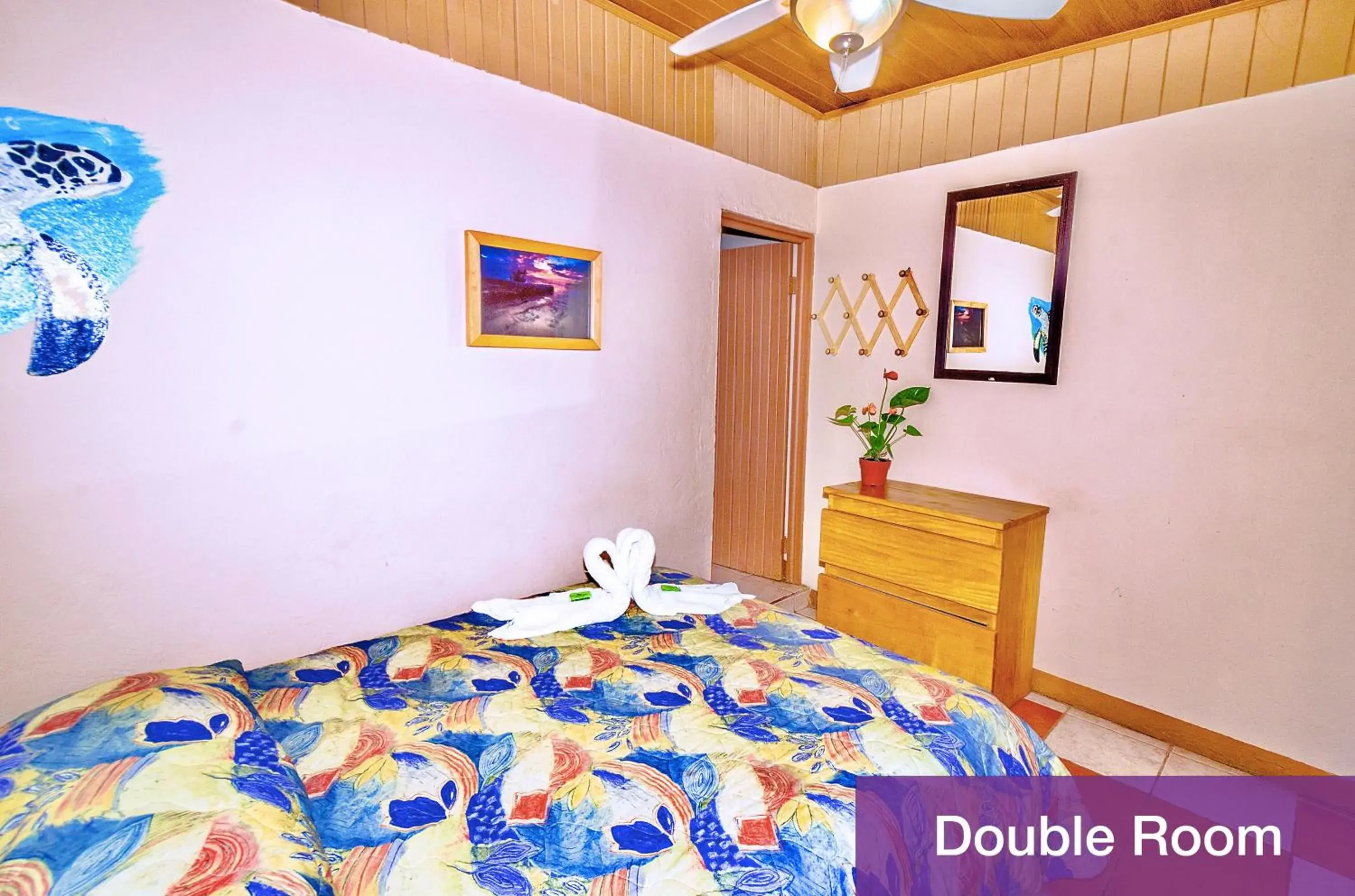 Standard Double Room in Blue Iguana Standard Double Room in Blue Iguana