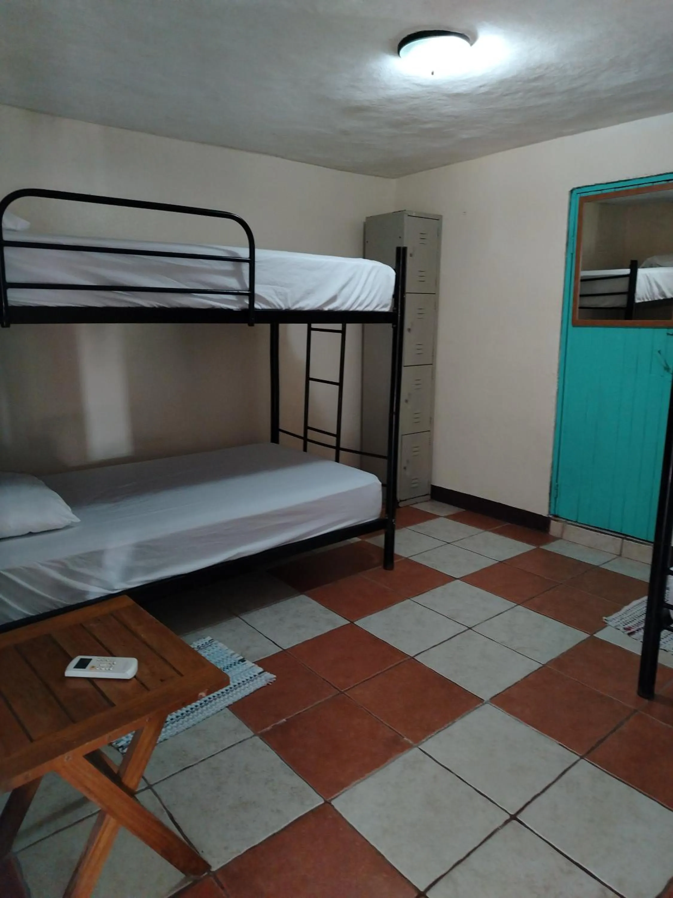 4-Bed Mixed Dormitory Room in Blue Iguana
