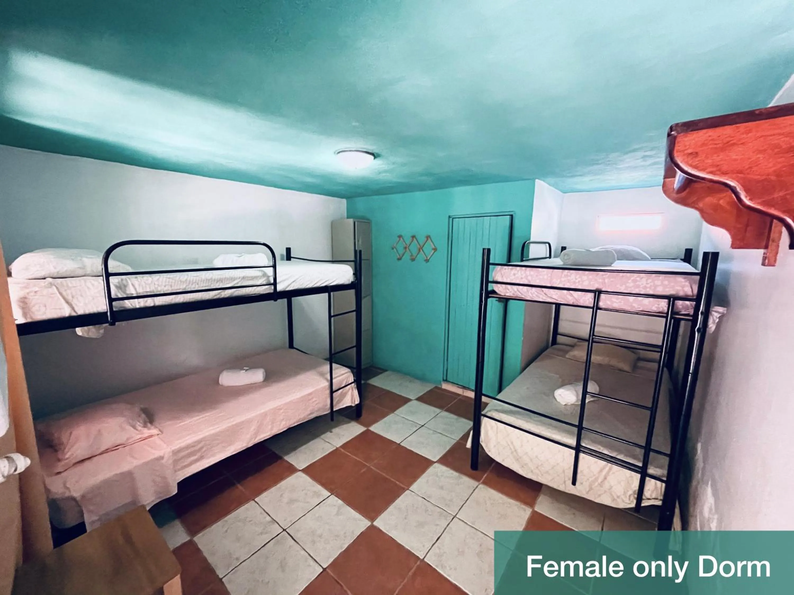 bunk bed, Bed in Blue Iguana