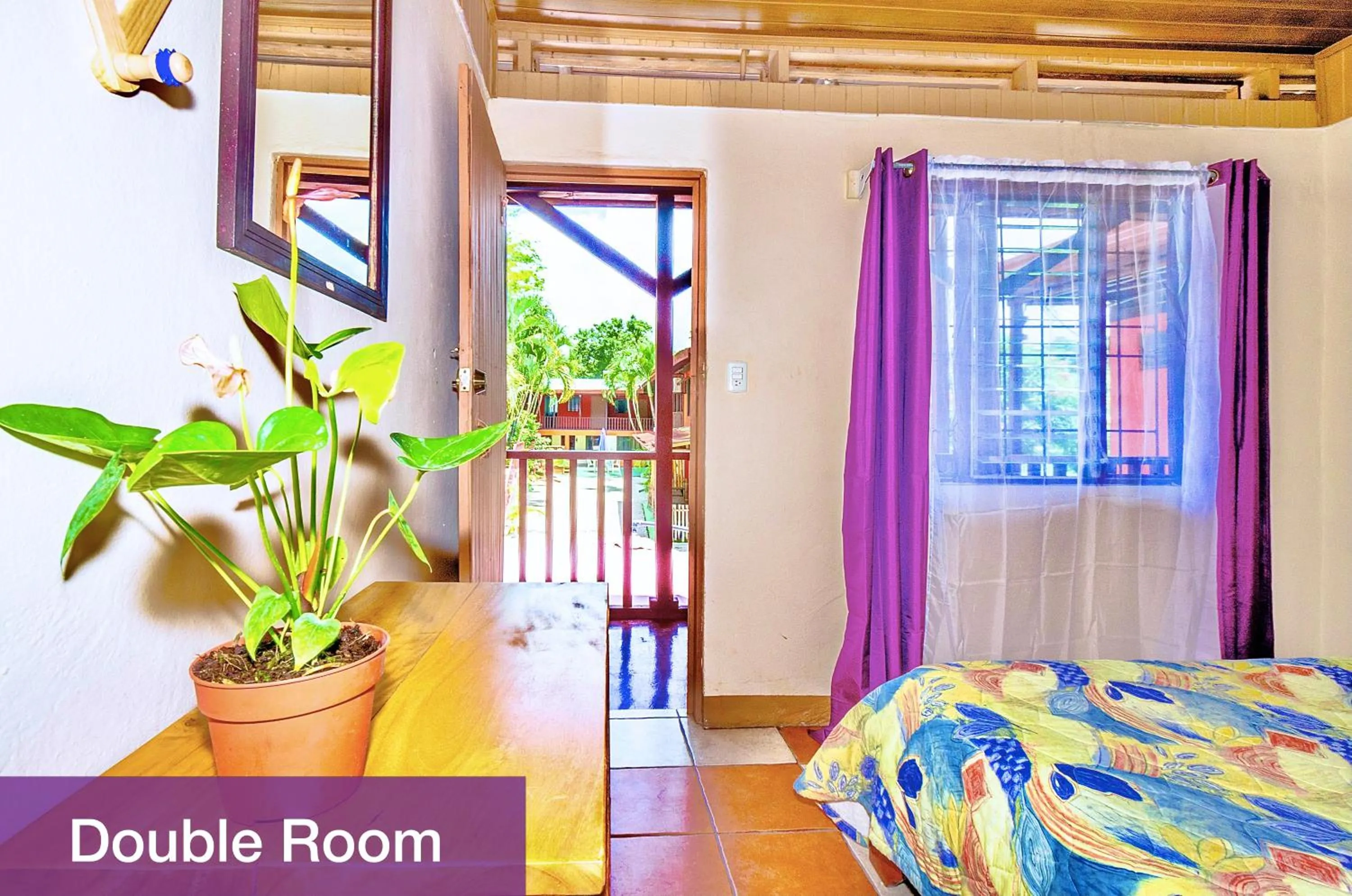 Photo of the whole room, Bed in Blue Iguana