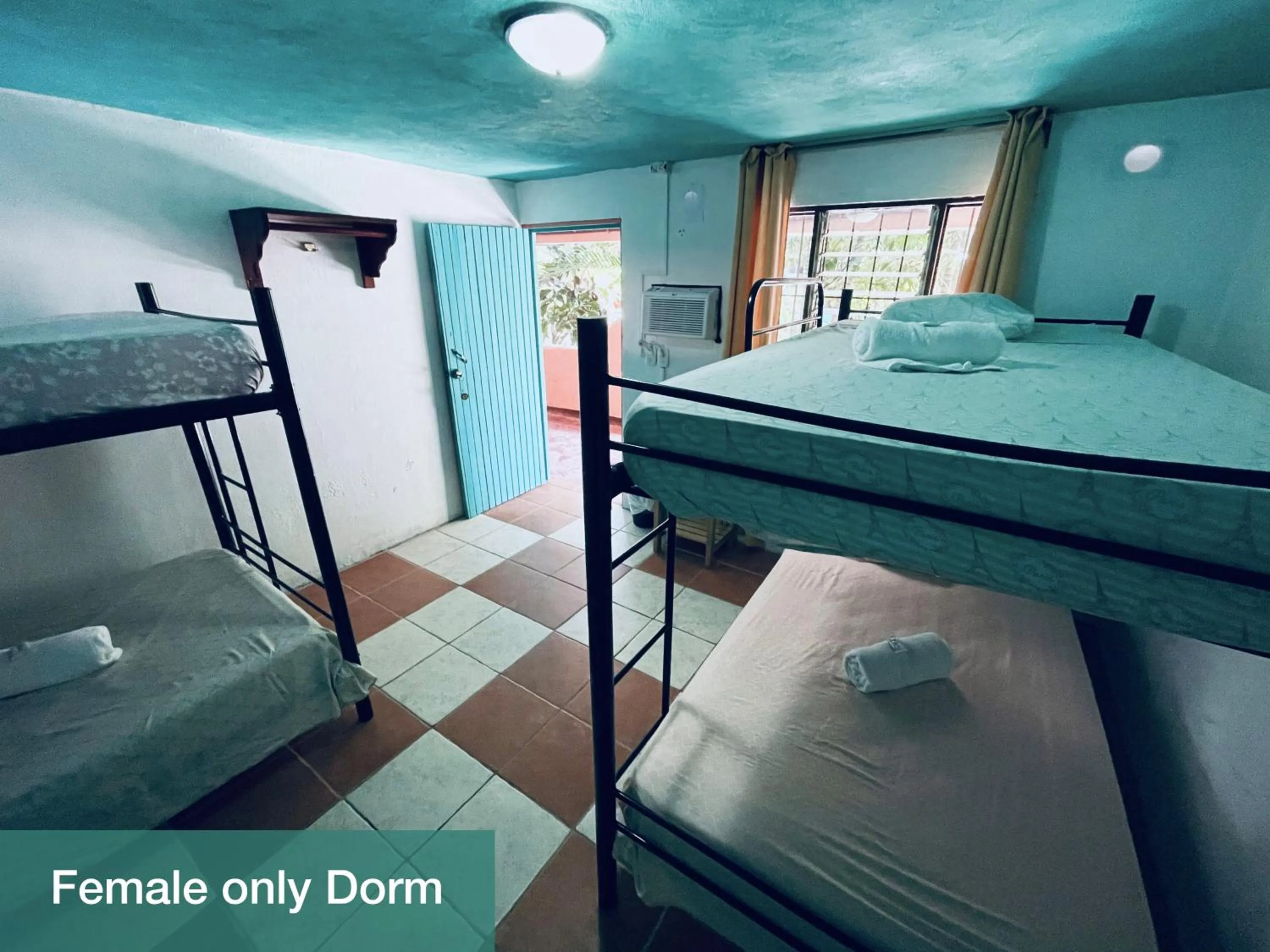 bunk bed, Bed in Blue Iguana