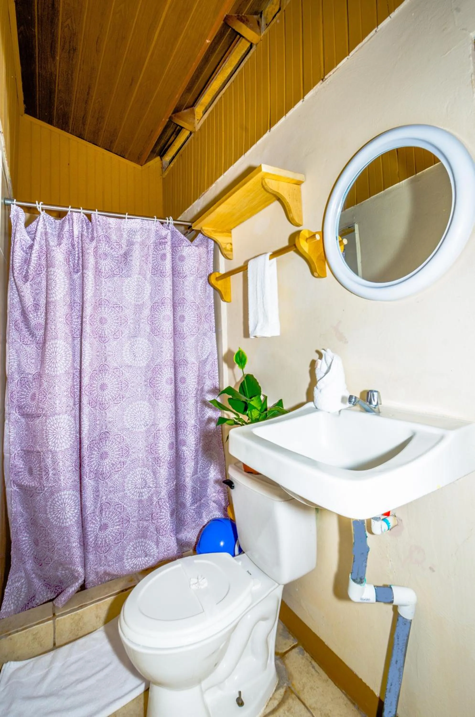 Bathroom in Blue Iguana