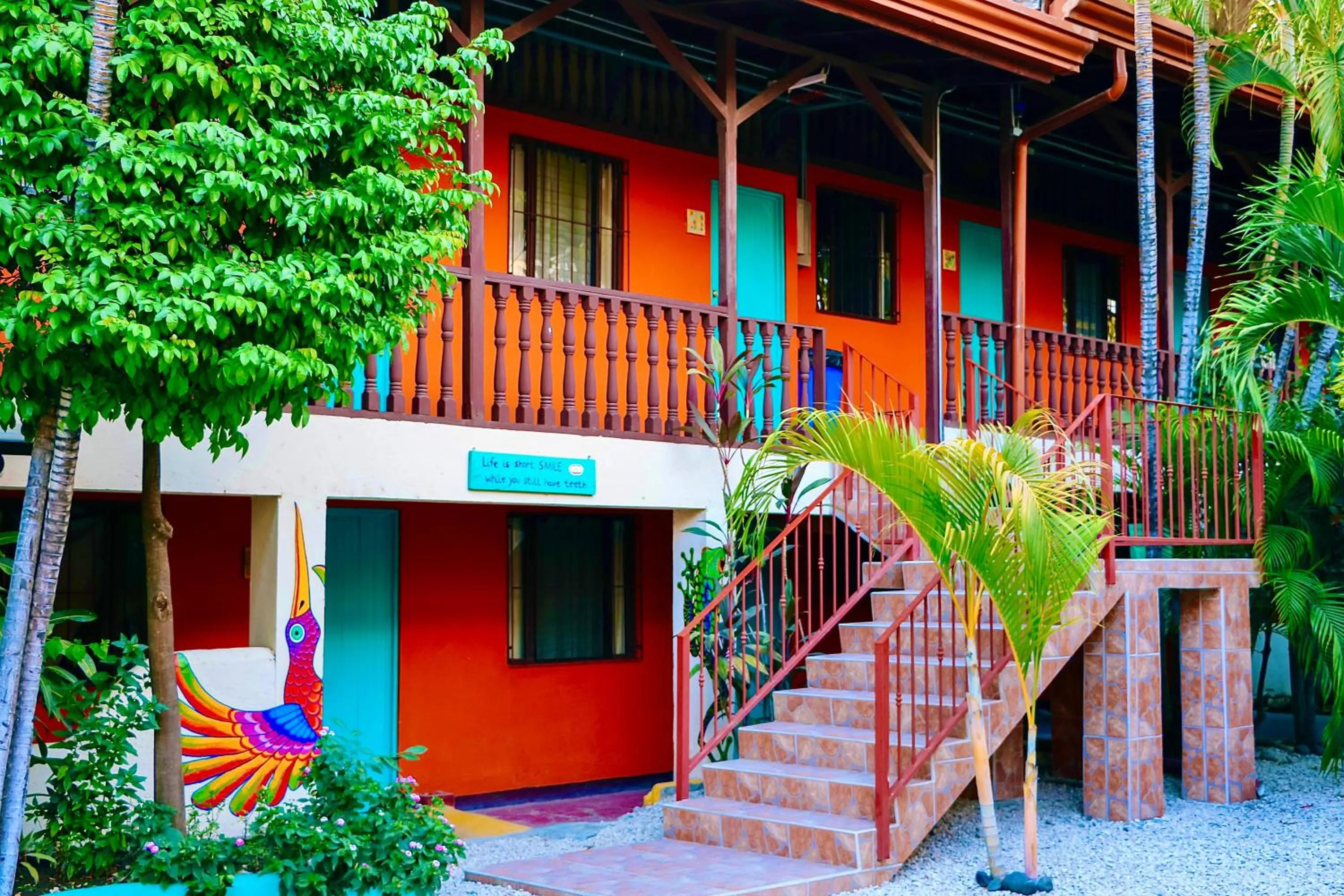 Property building in Blue Iguana