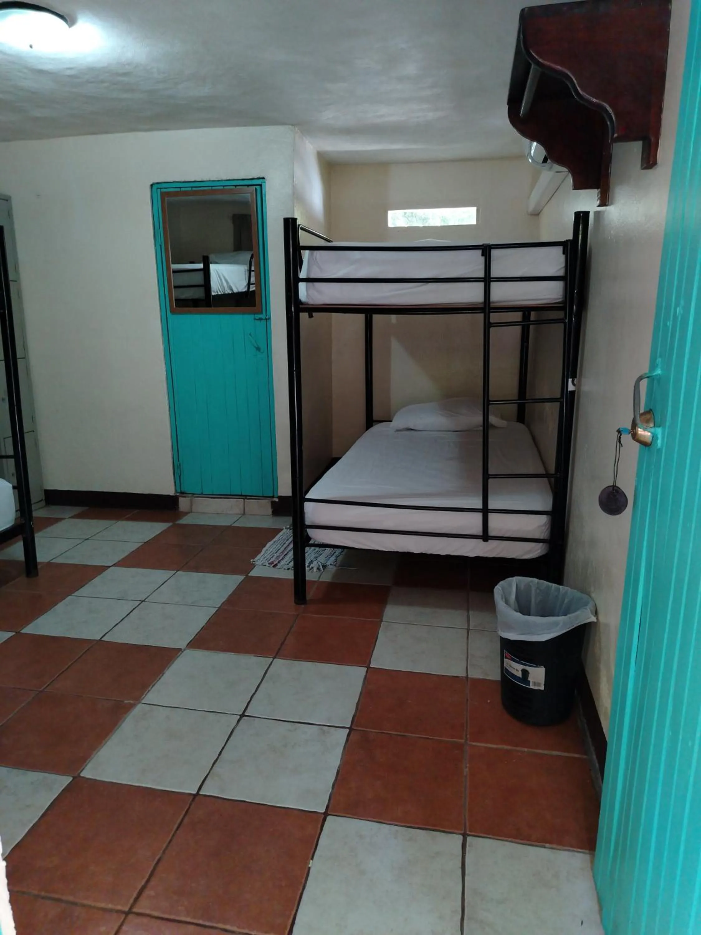 4-Bed Mixed Dormitory Room in Blue Iguana
