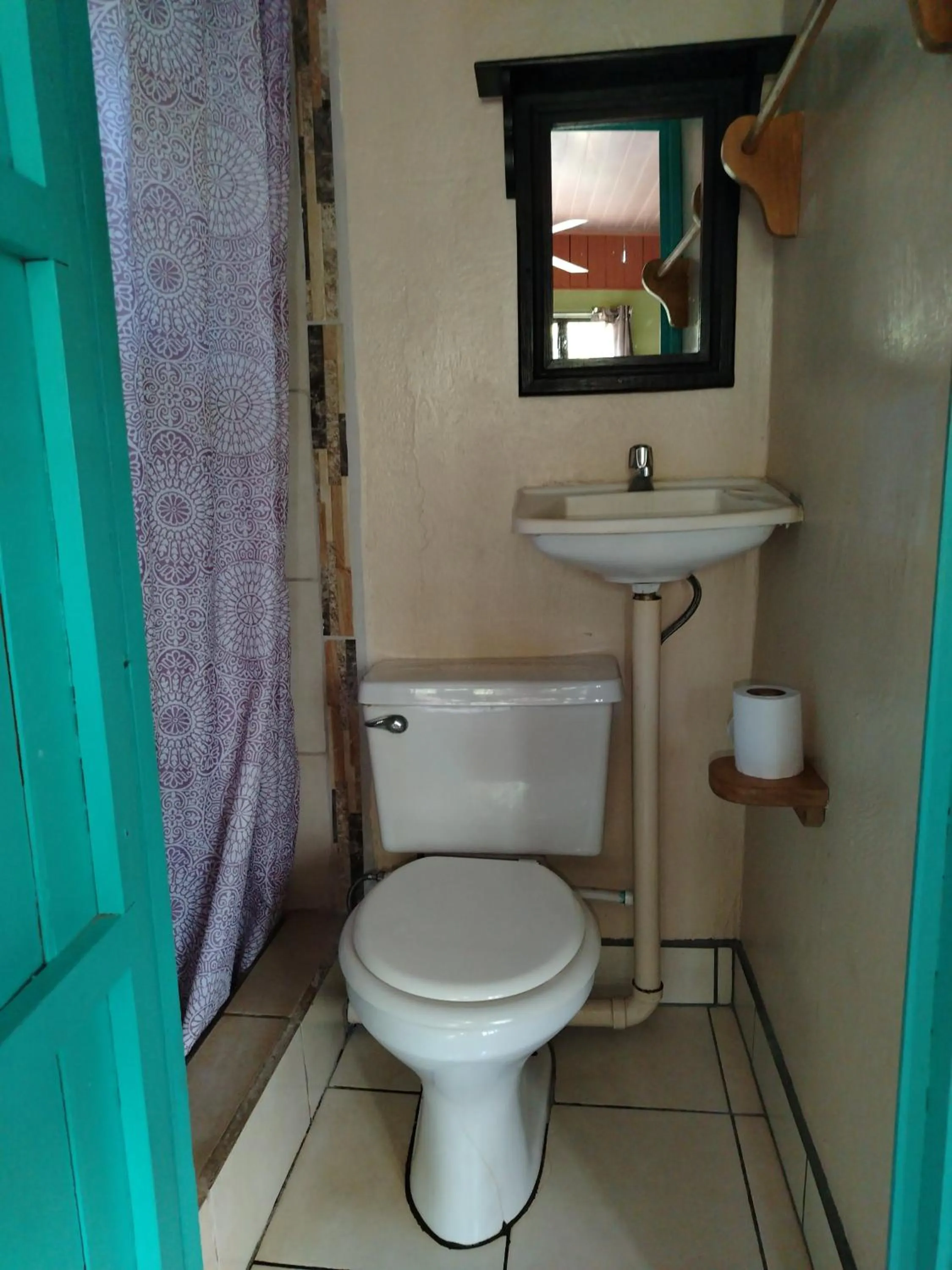 Bathroom in Blue Iguana