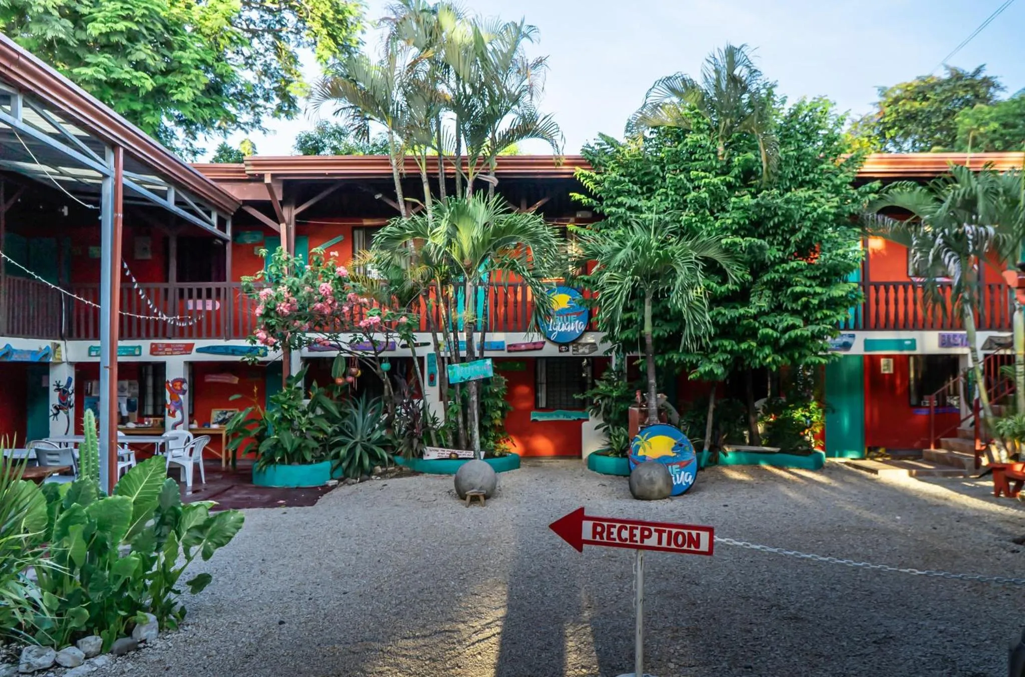 Garden view in Blue Iguana