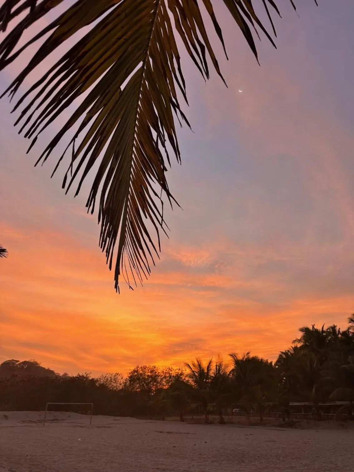 Sunset in Blue Iguana