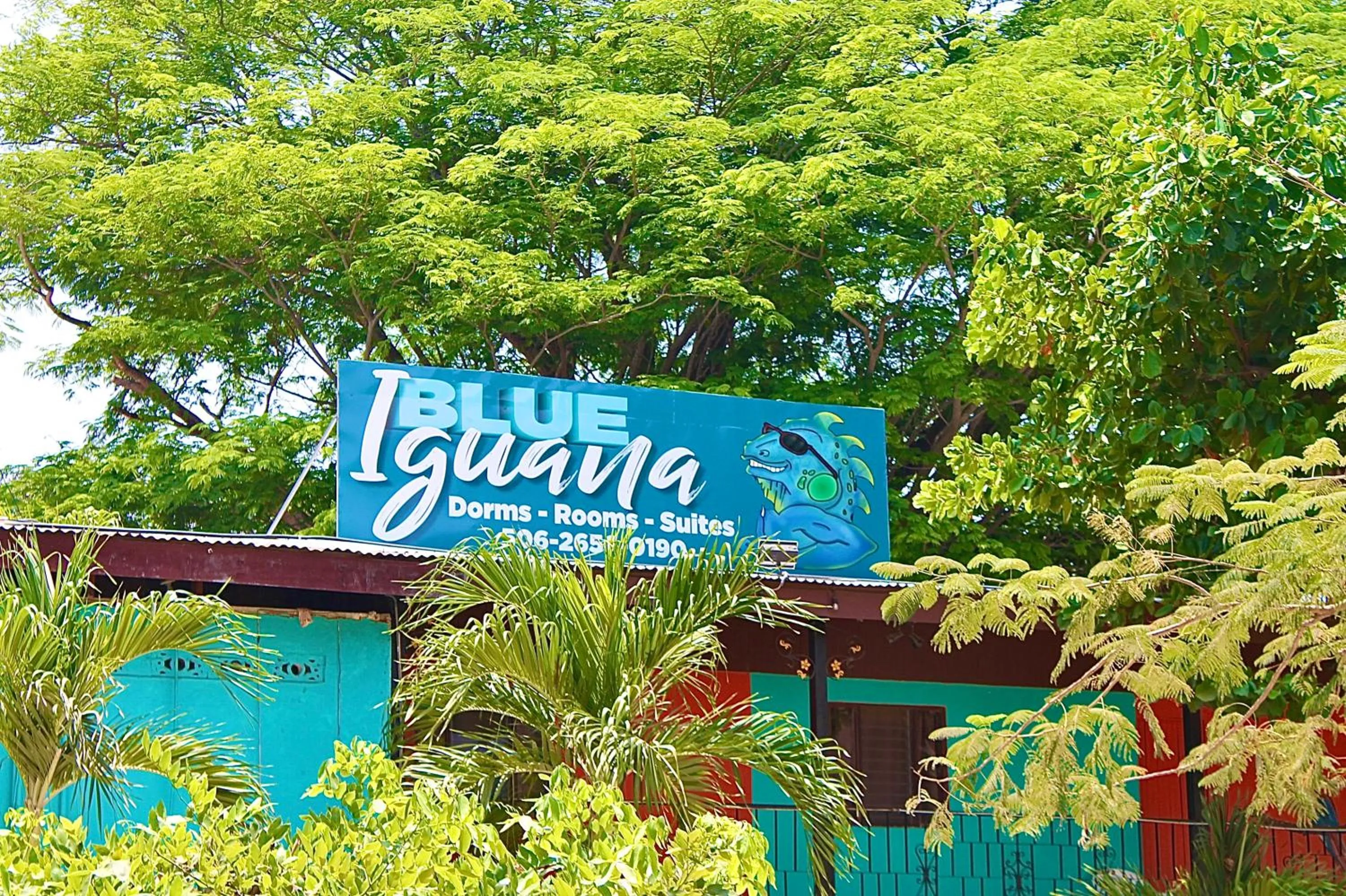 Property logo or sign in Blue Iguana
