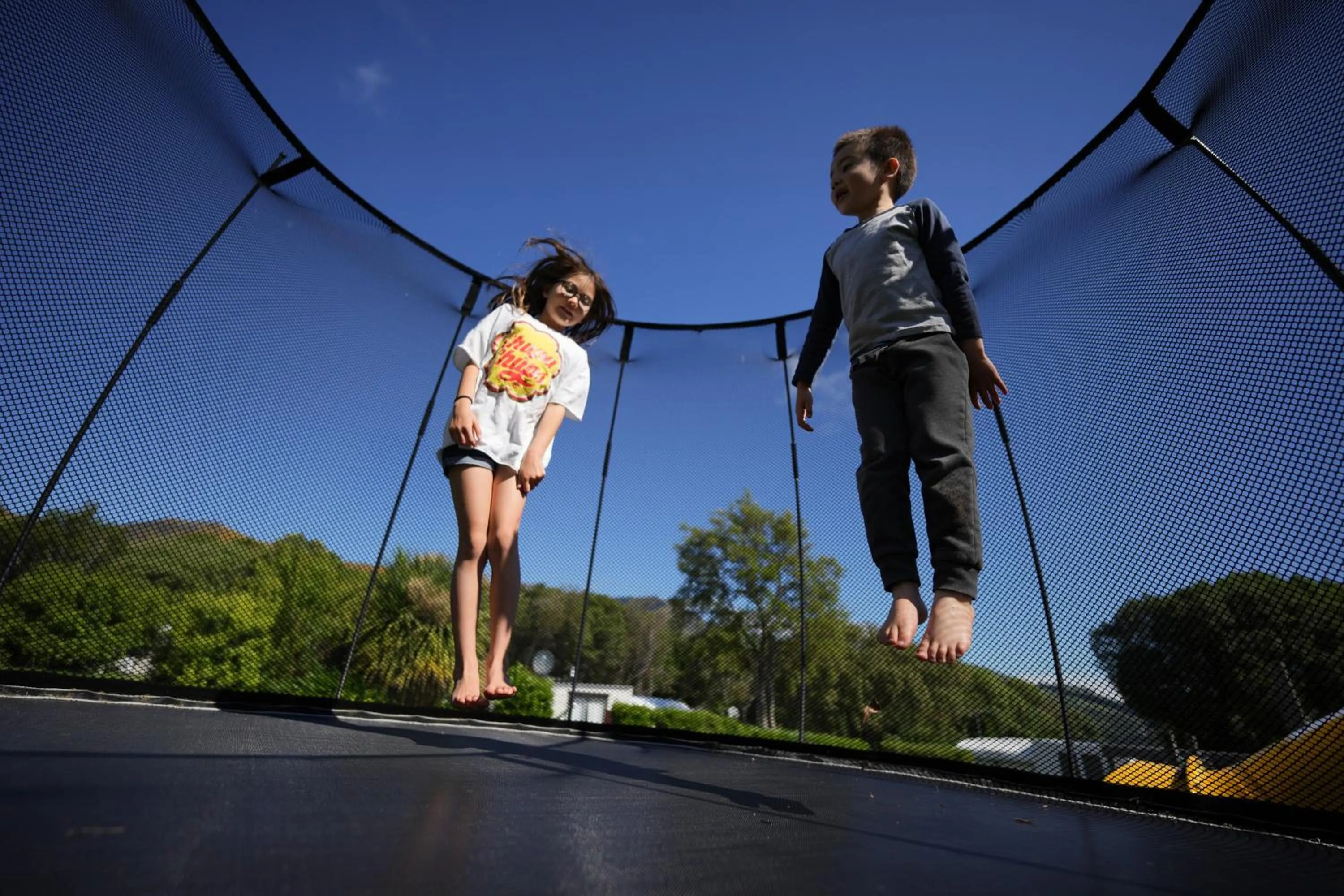 Activities in Akaroa Top 10 Holiday Park