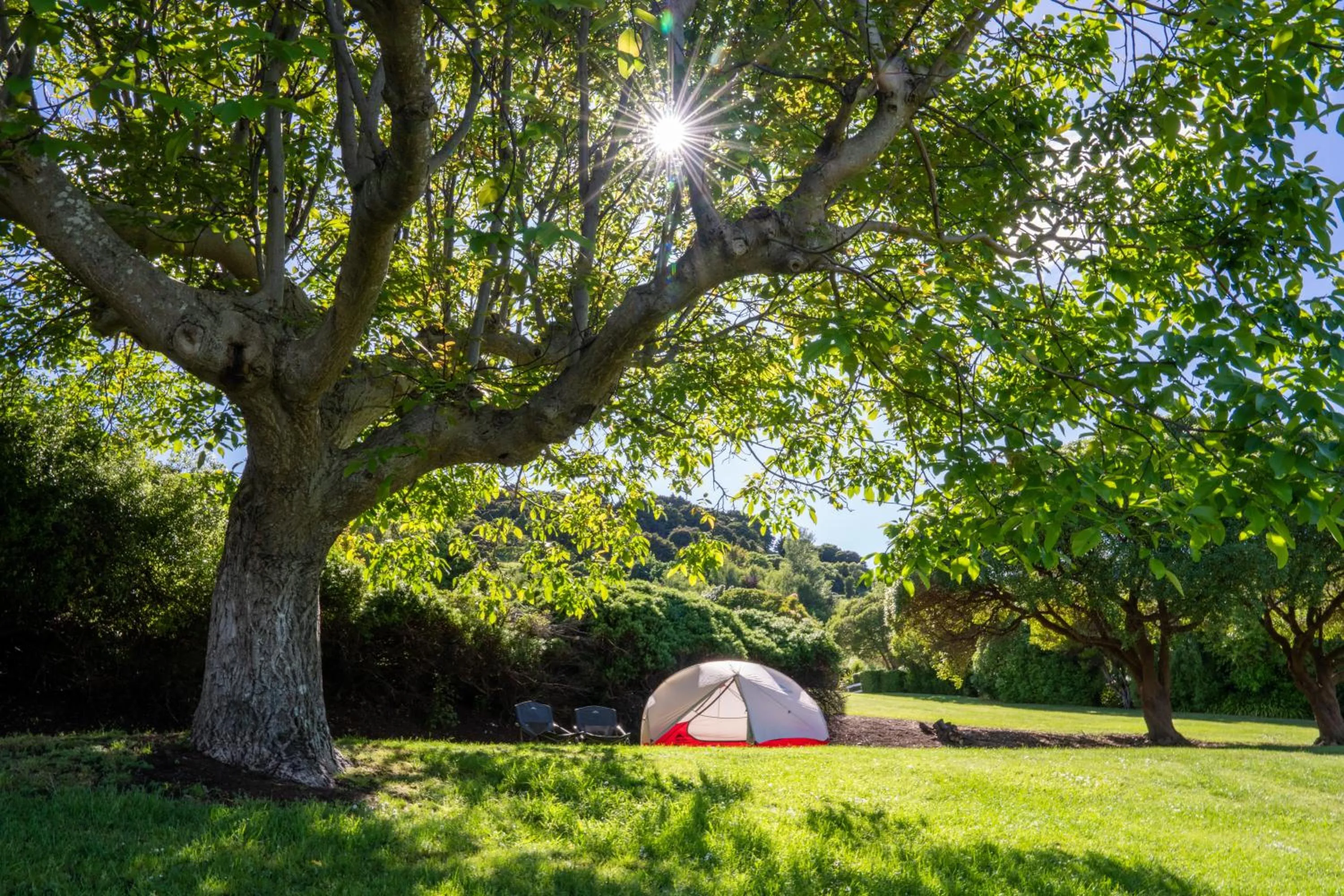 Natural landscape in Akaroa Top 10 Holiday Park