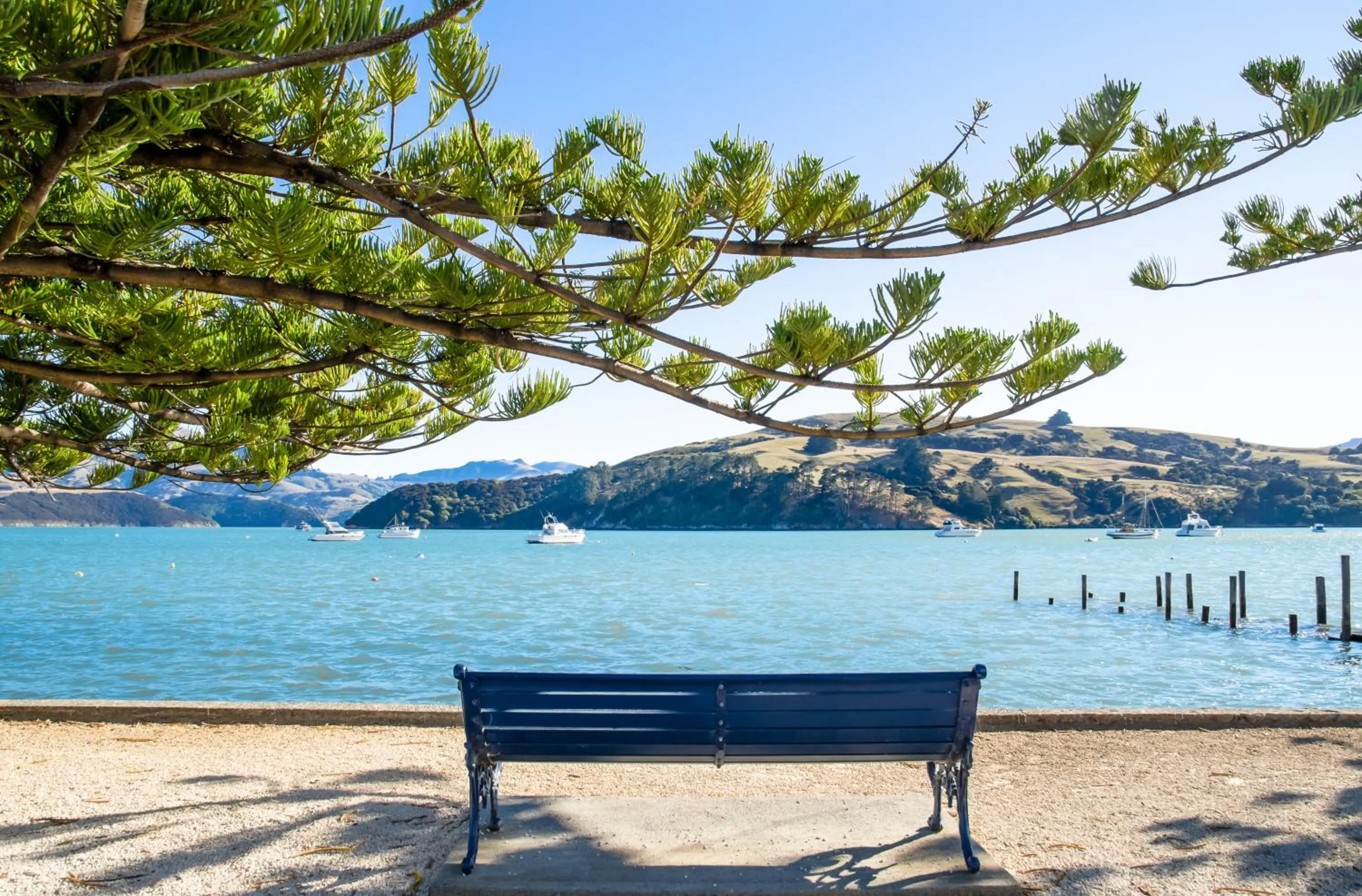 Natural landscape in Akaroa Top 10 Holiday Park