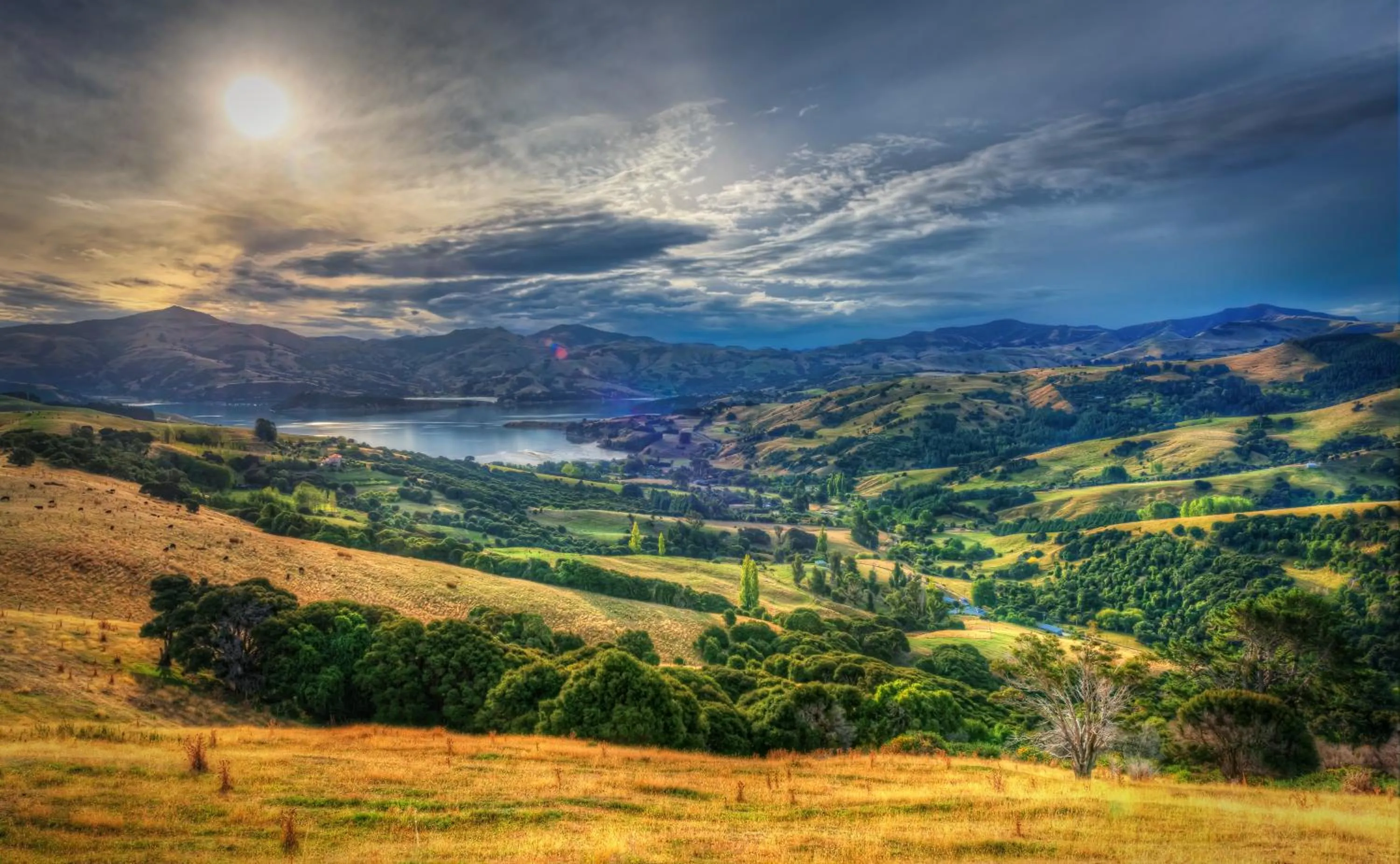 Natural landscape in Akaroa Top 10 Holiday Park