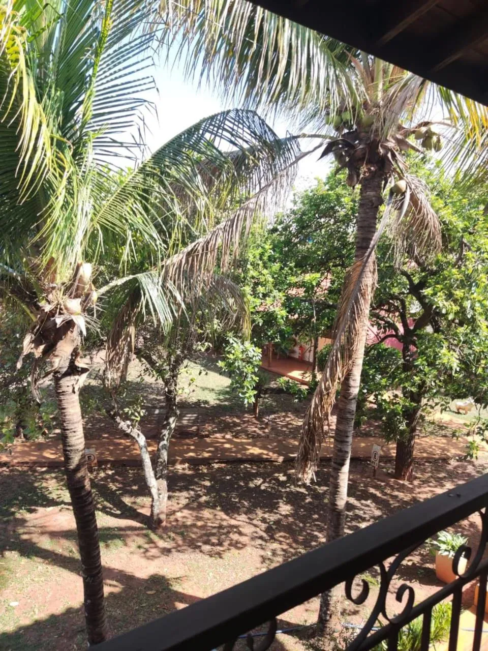 Pousada Tropical Vereda