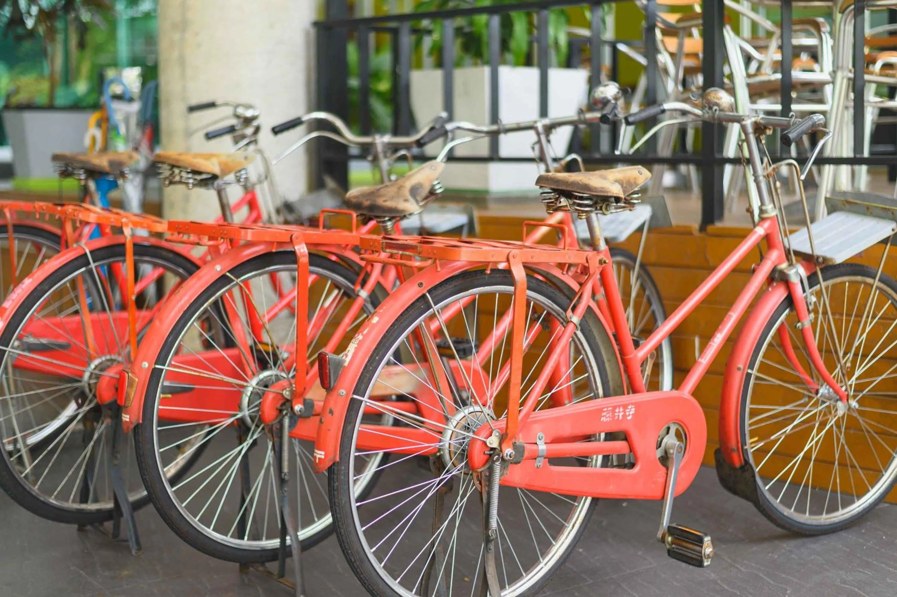 Cycling in Eco Inn Prime Trang