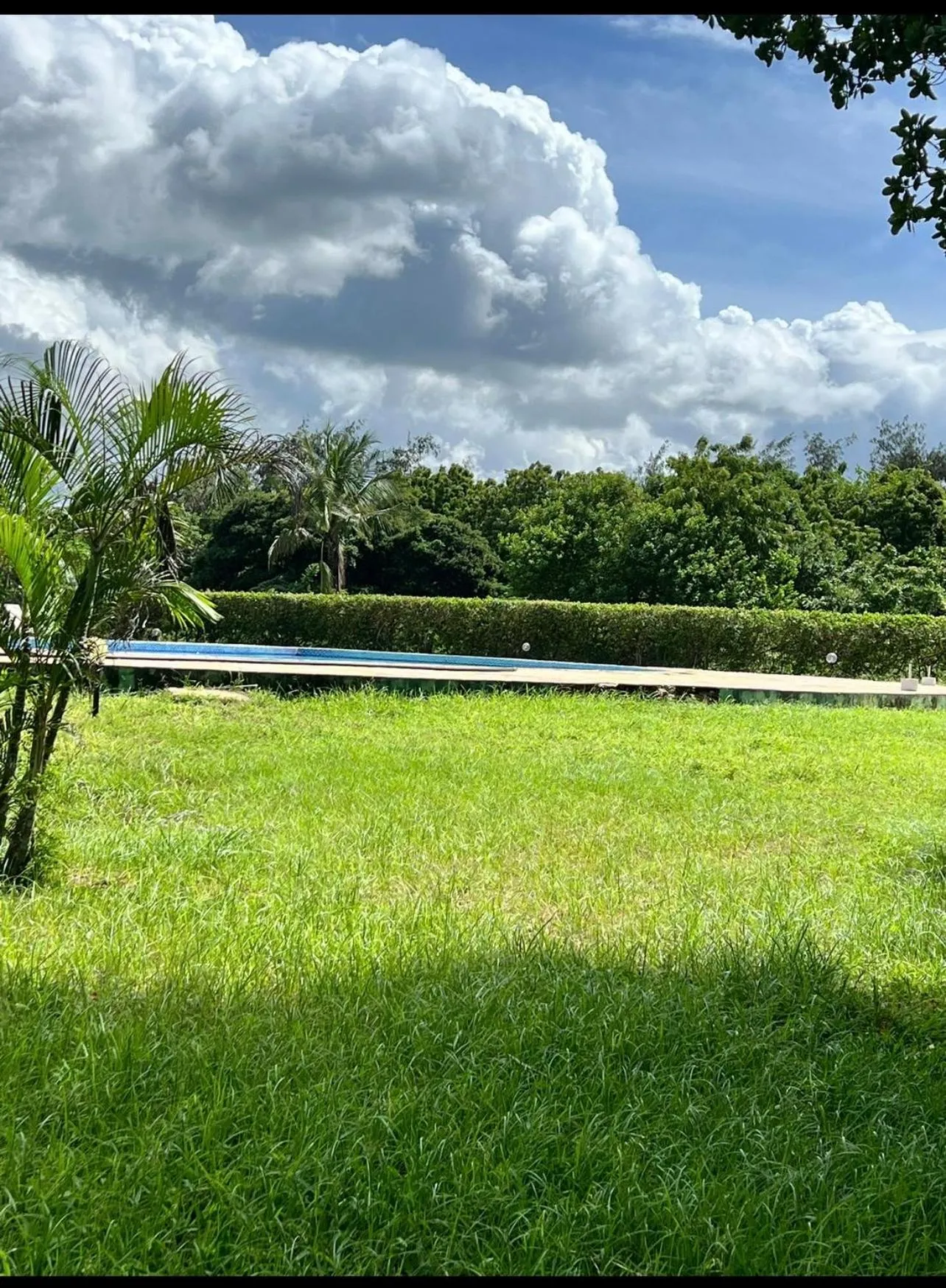 Natural landscape in Golden Sun Resort Apartments