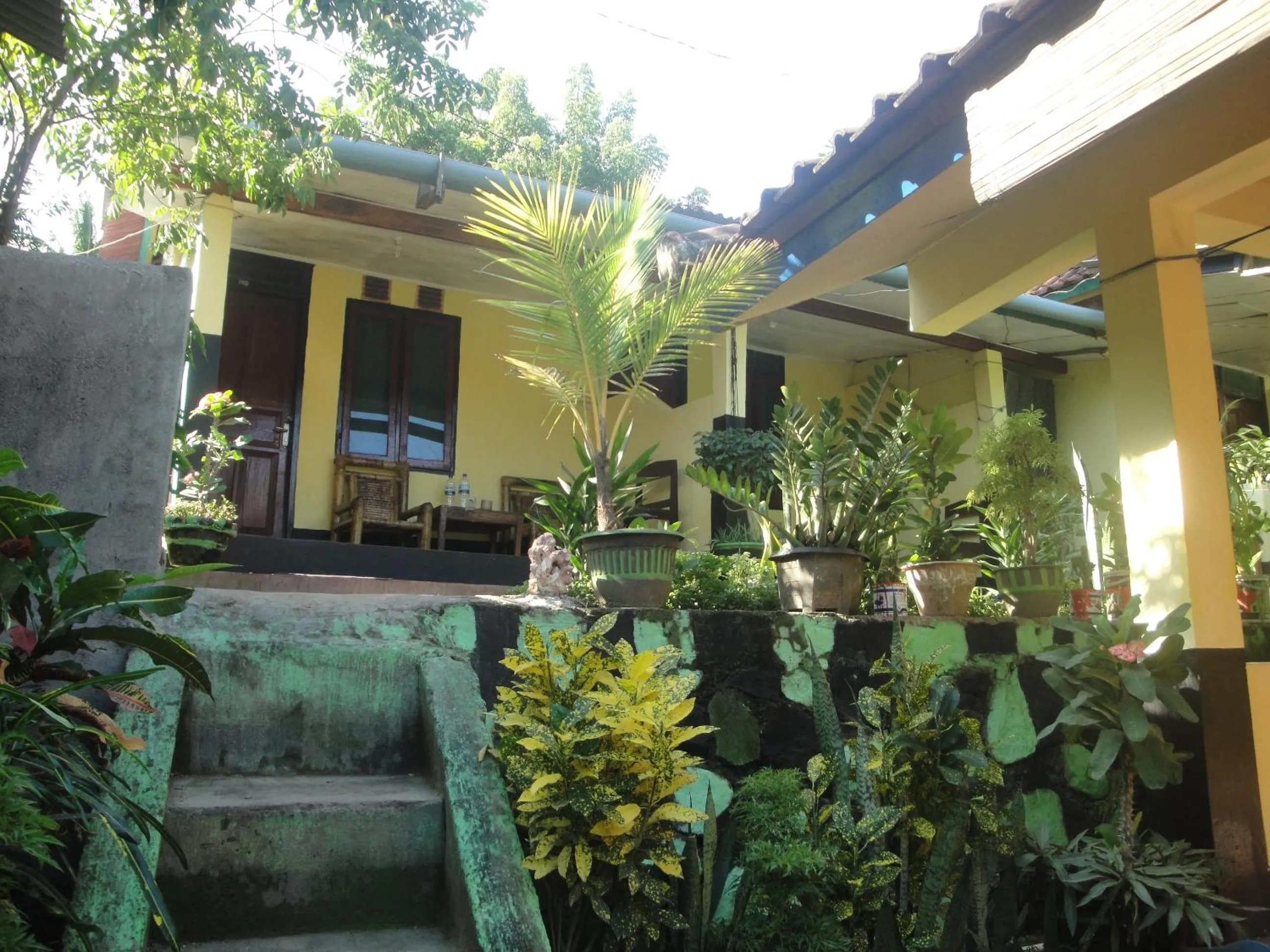 Garden in Diyah Homestay