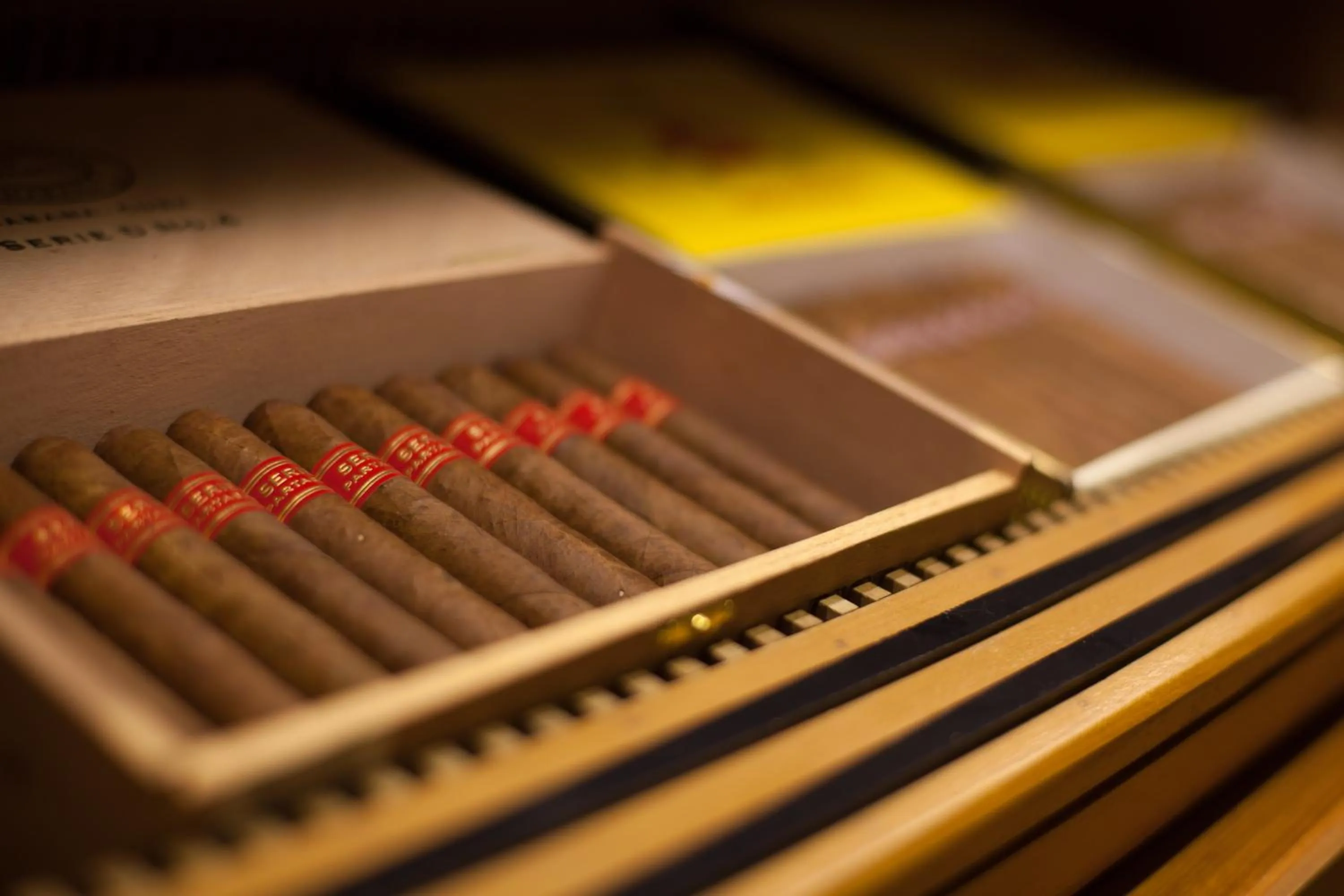 Decorative detail in Cheery Dragon Canal Hotel Hangzhou - Intangible Cultural Heritage Hotel