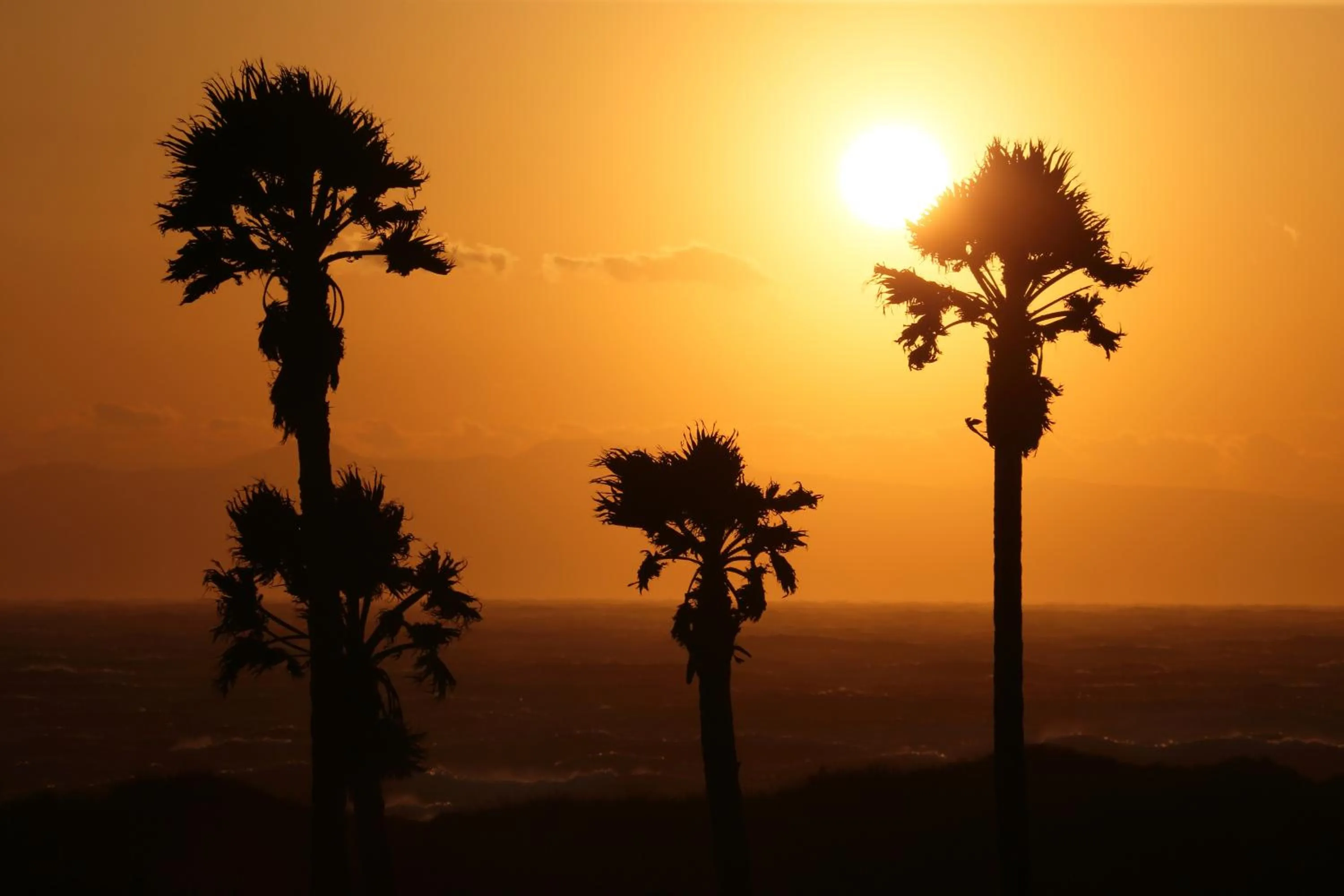 View (from property/room) in Senri no Kaze