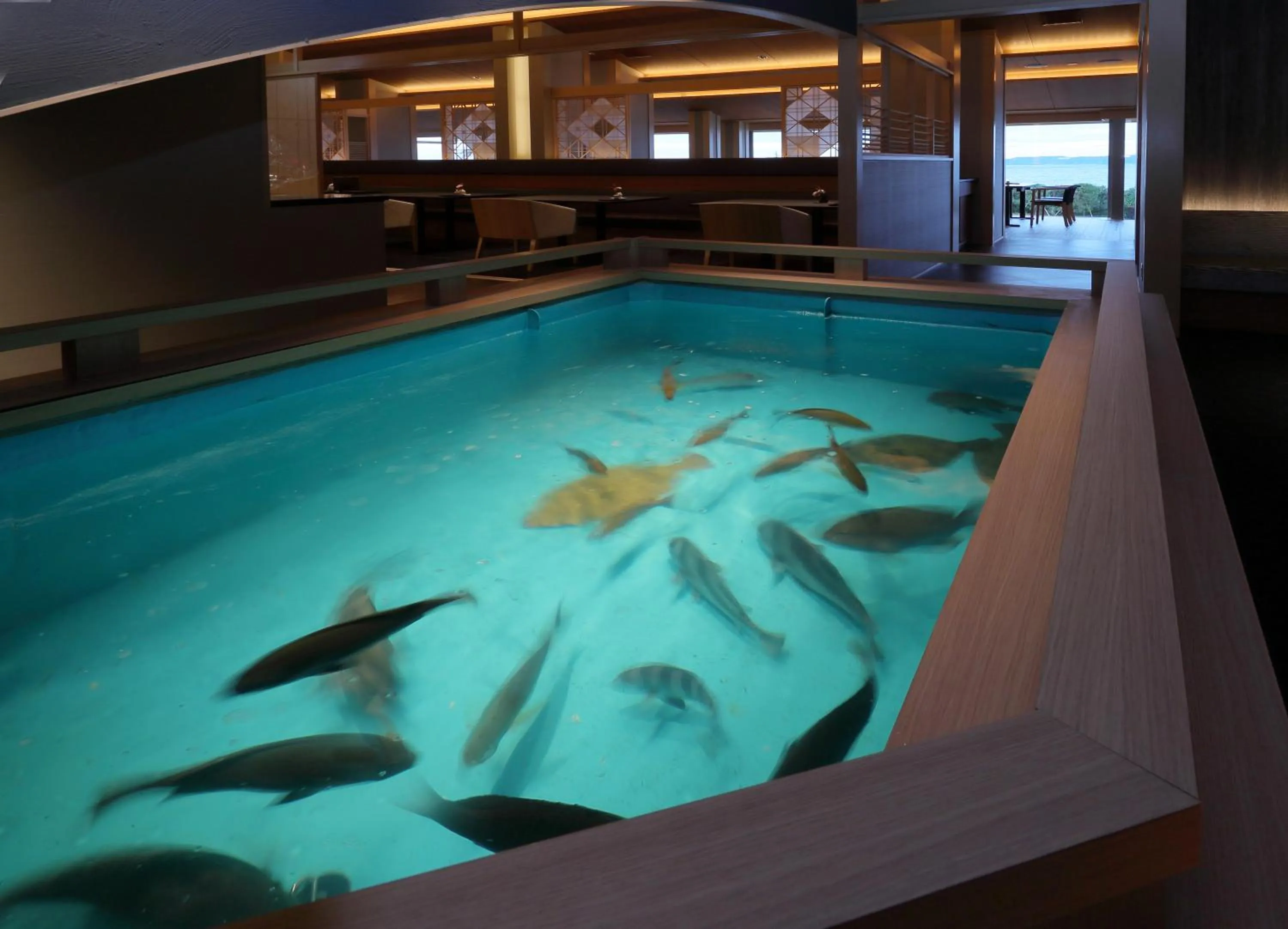 Restaurant/places to eat in Hanashibuki