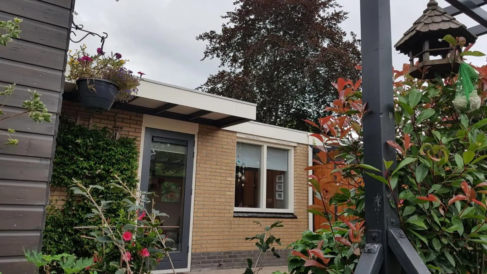 Achter de Beukenboom