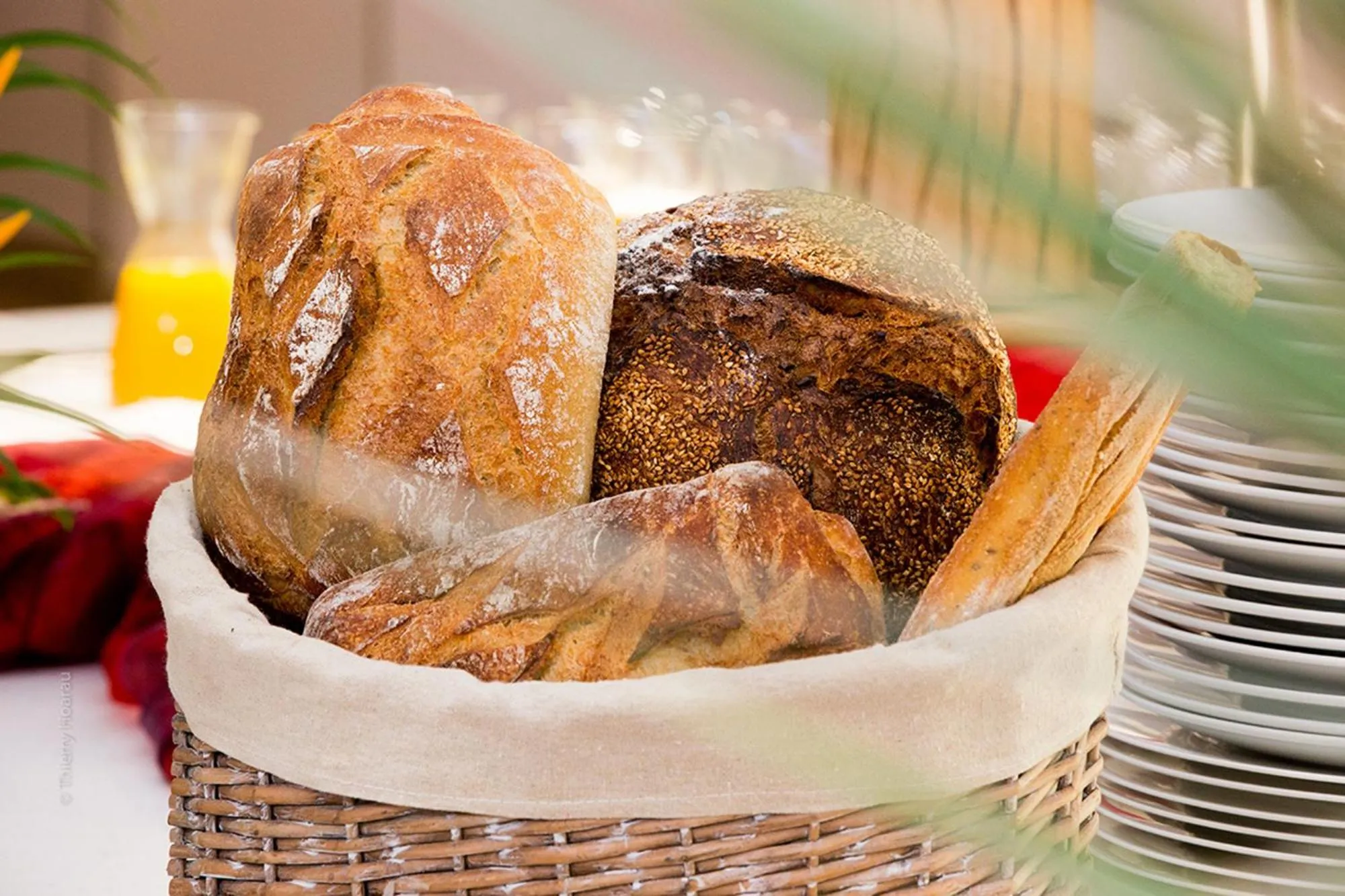 Food in Akoya Hotel & Spa