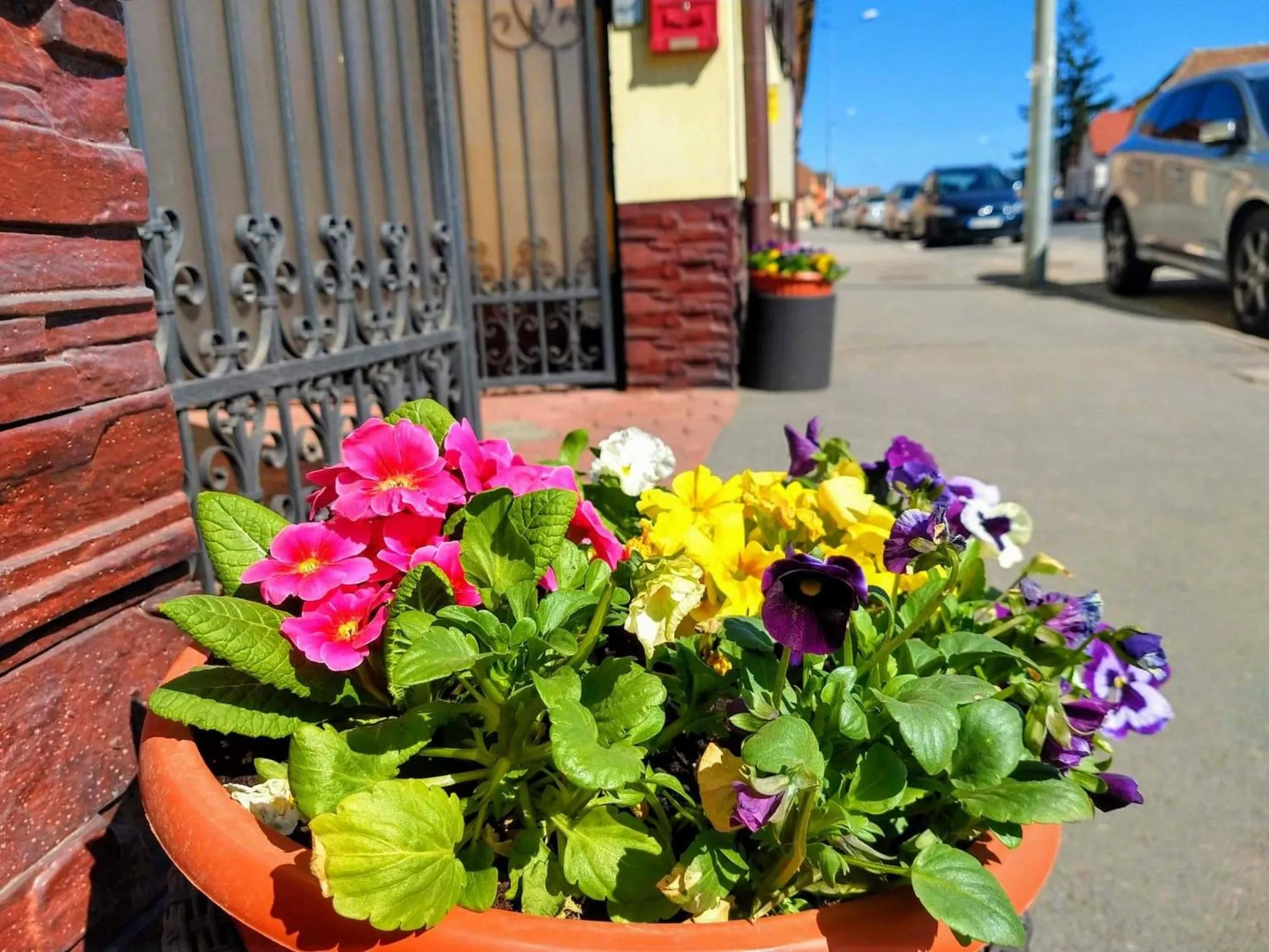 Facade/entrance in Pensiunea Magnolia
