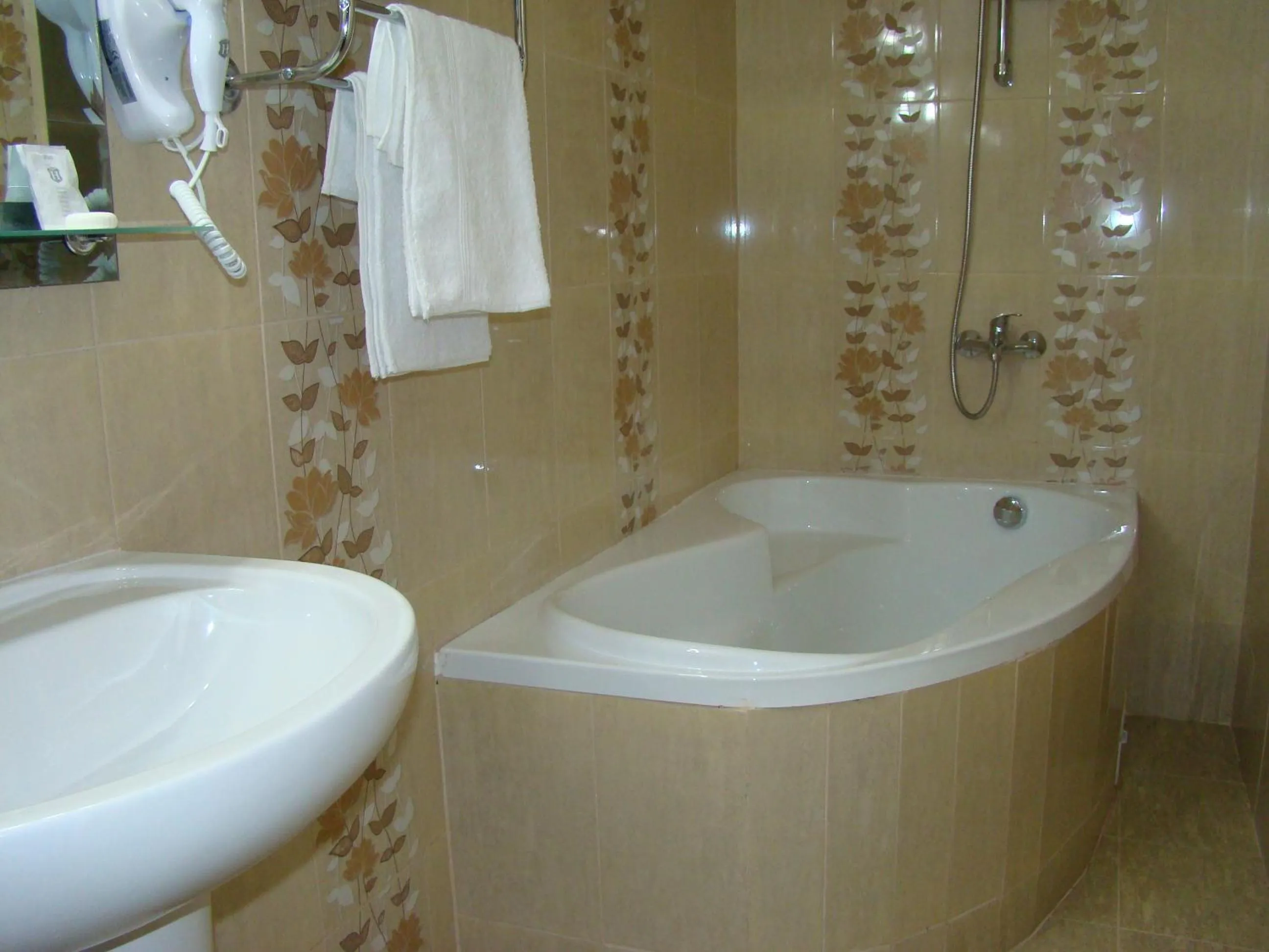 Shower in Pensiunea Magnolia