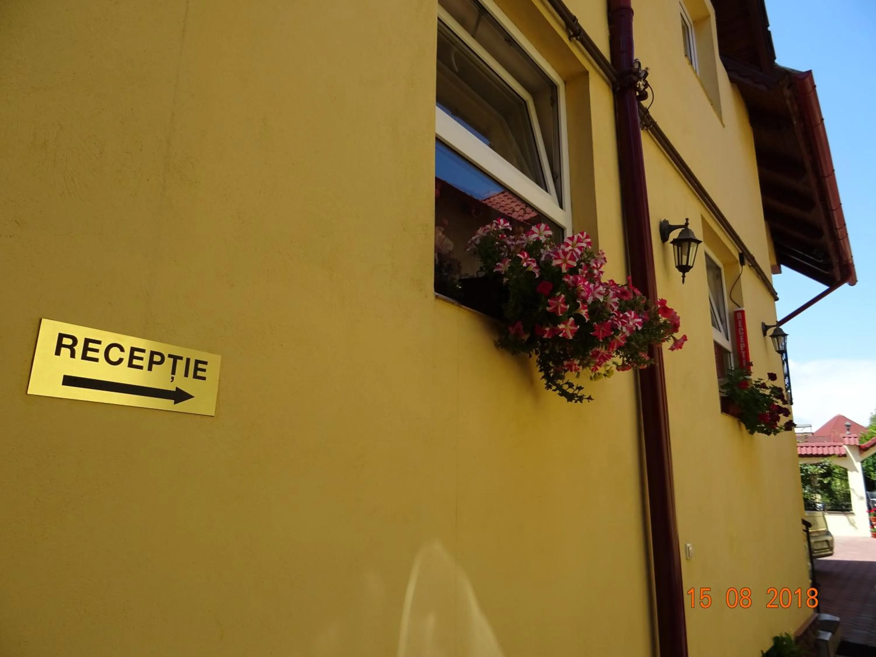 Property building in Pensiunea Magnolia