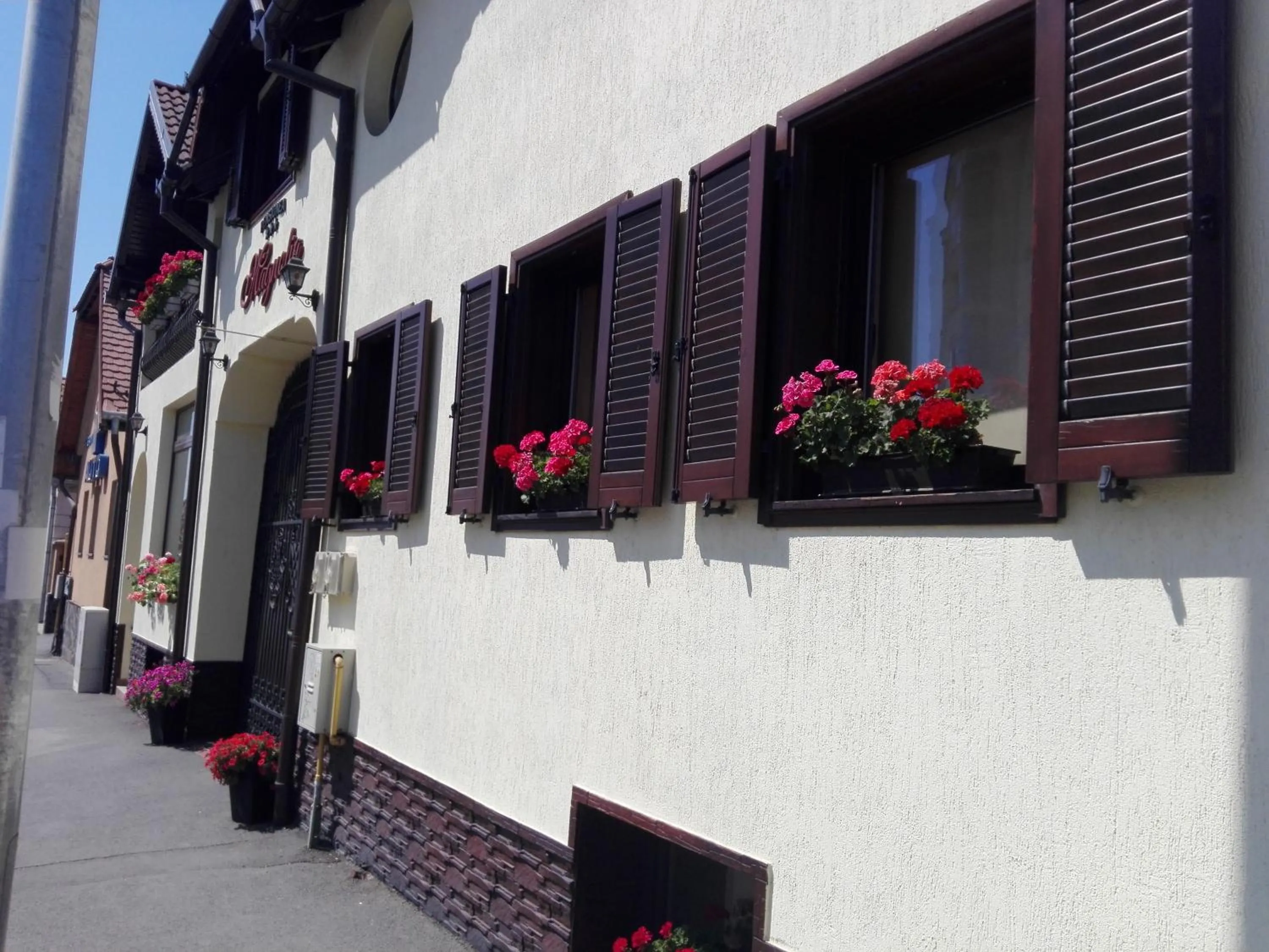 Facade/entrance in Pensiunea Magnolia