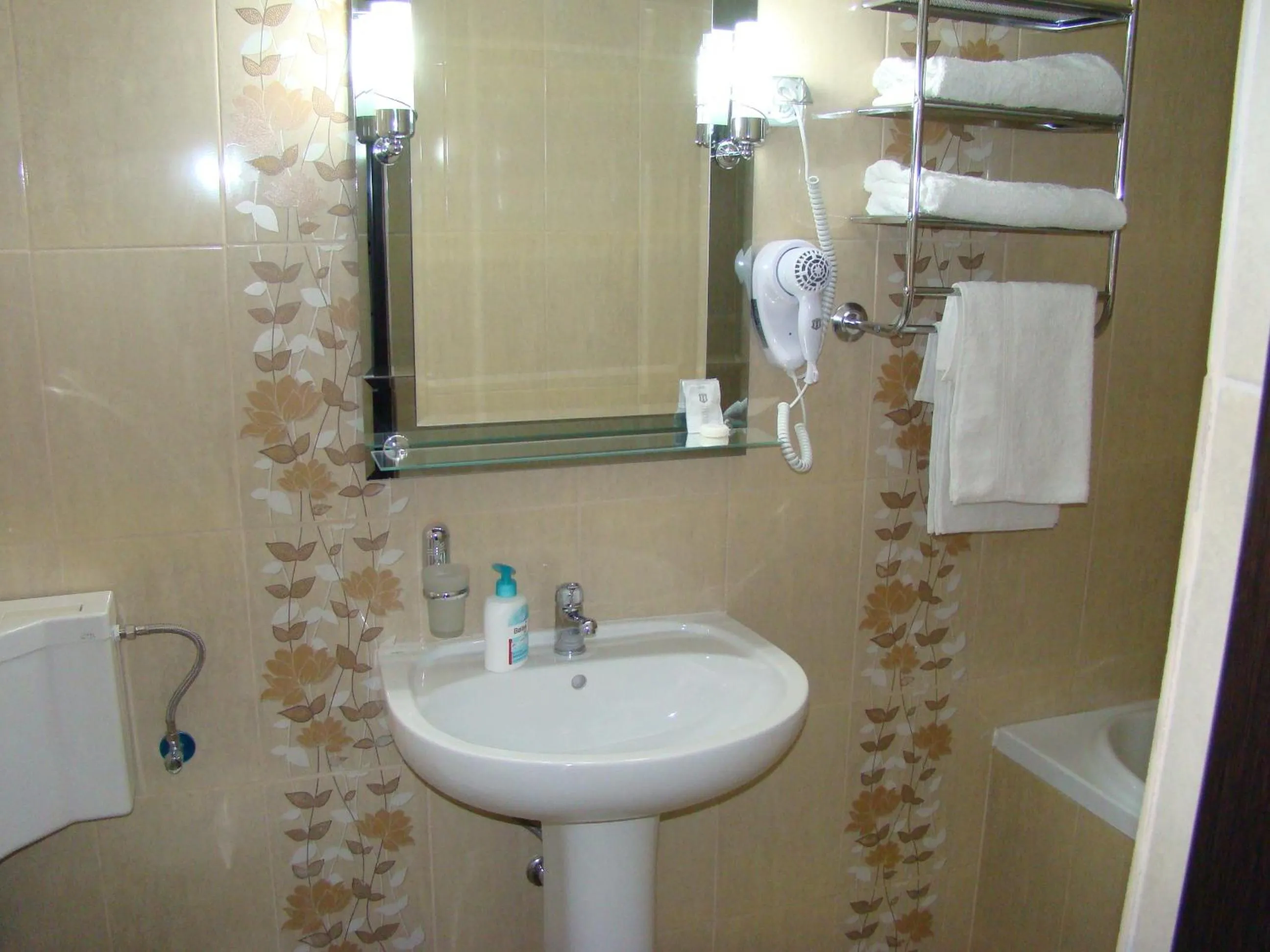 Shower in Pensiunea Magnolia