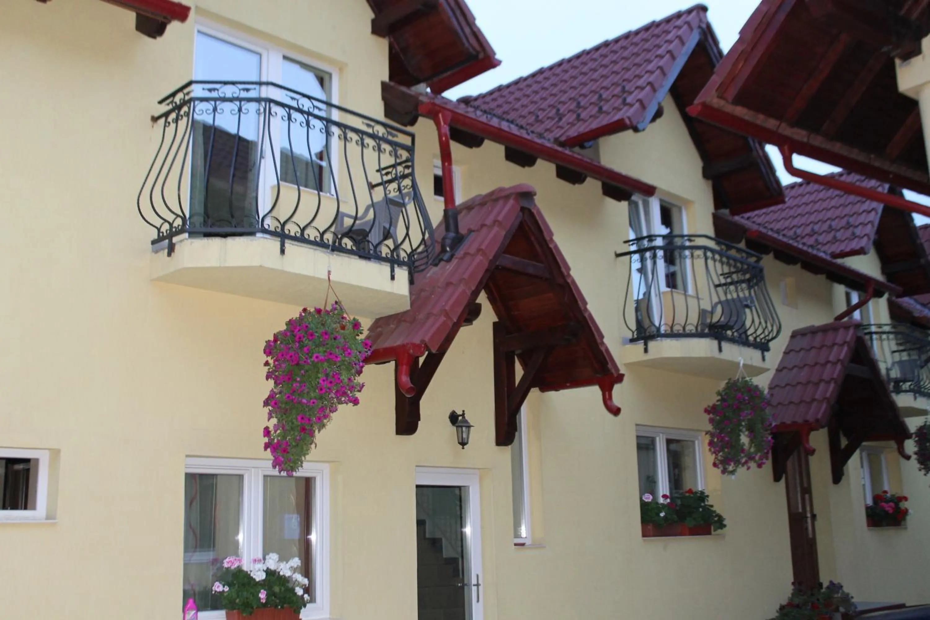 Property building in Pensiunea Magnolia