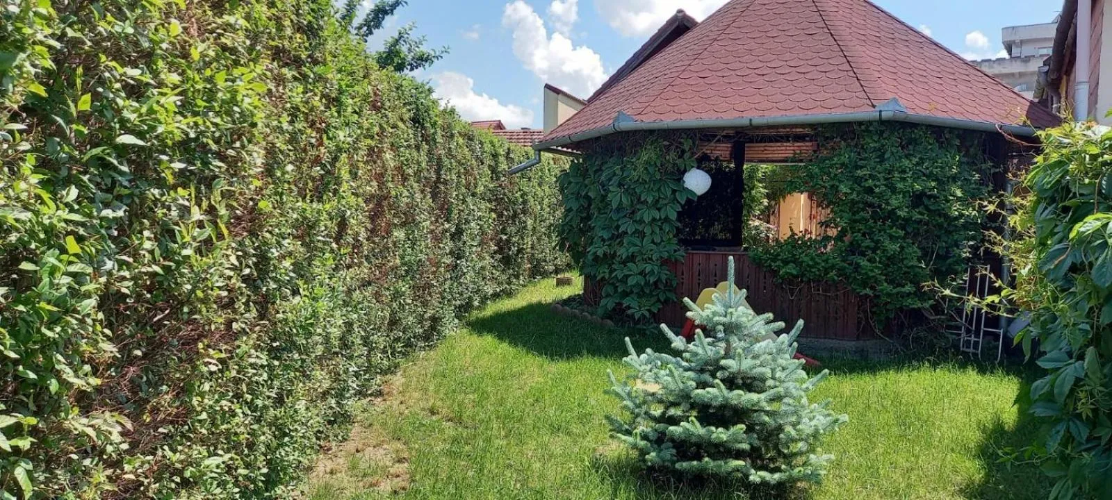 Garden in Pensiunea Magnolia