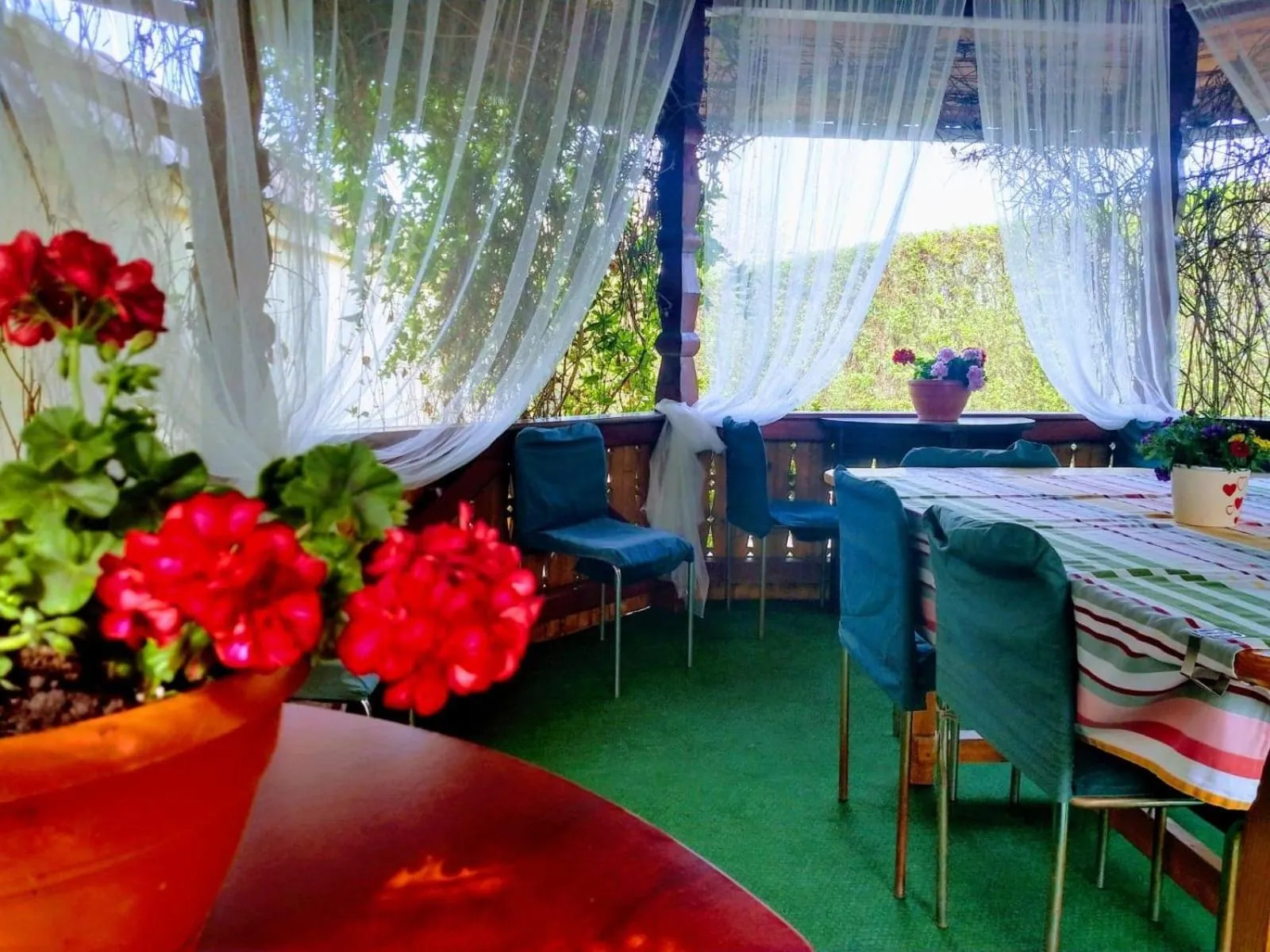 BBQ facilities in Pensiunea Magnolia