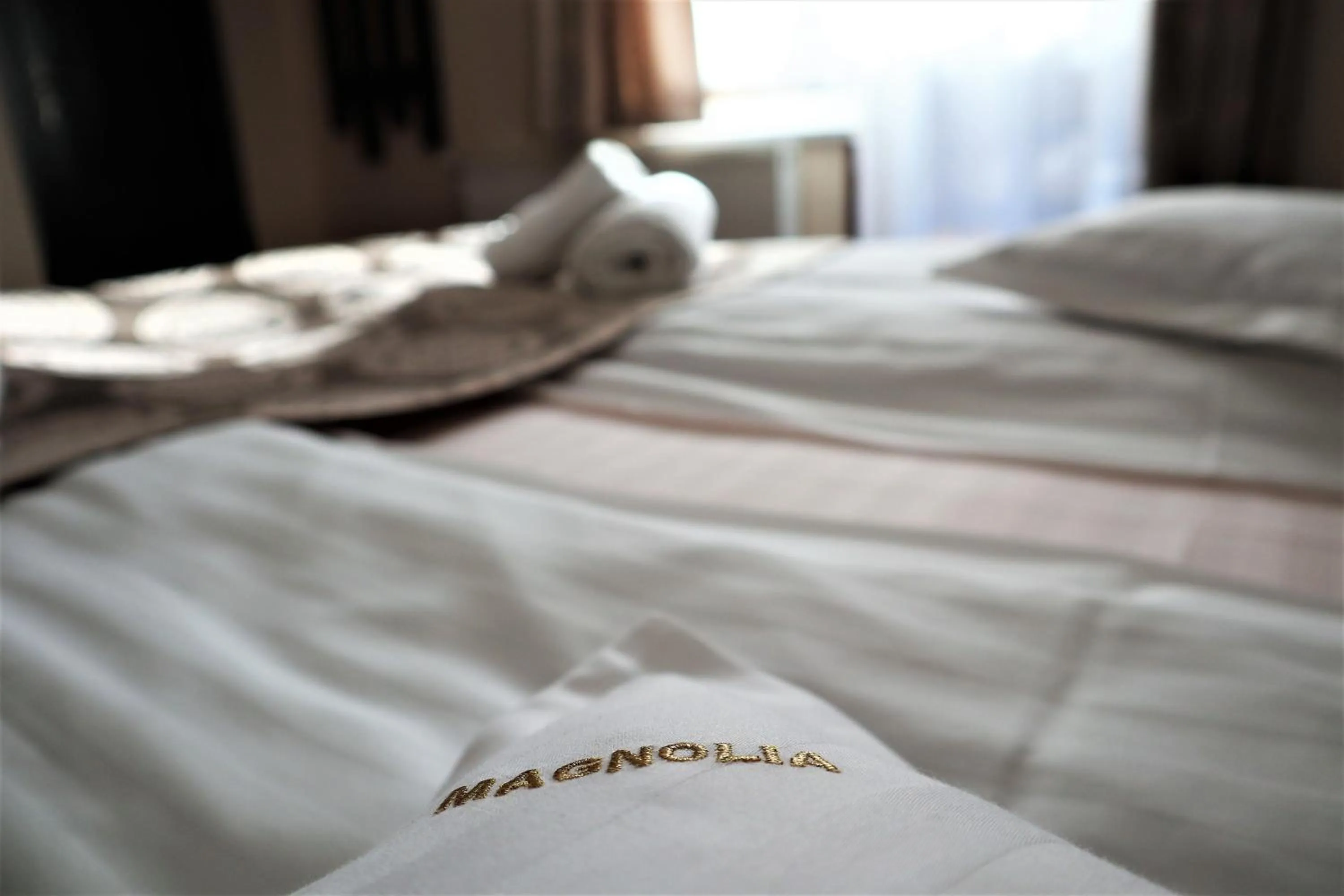 Bed in Pensiunea Magnolia