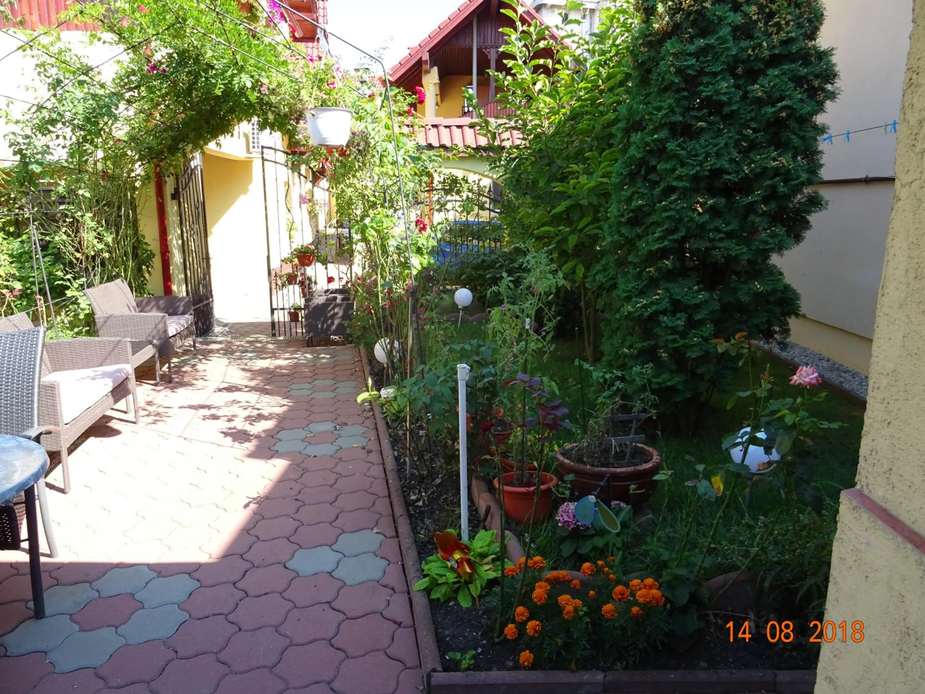 Garden in Pensiunea Magnolia