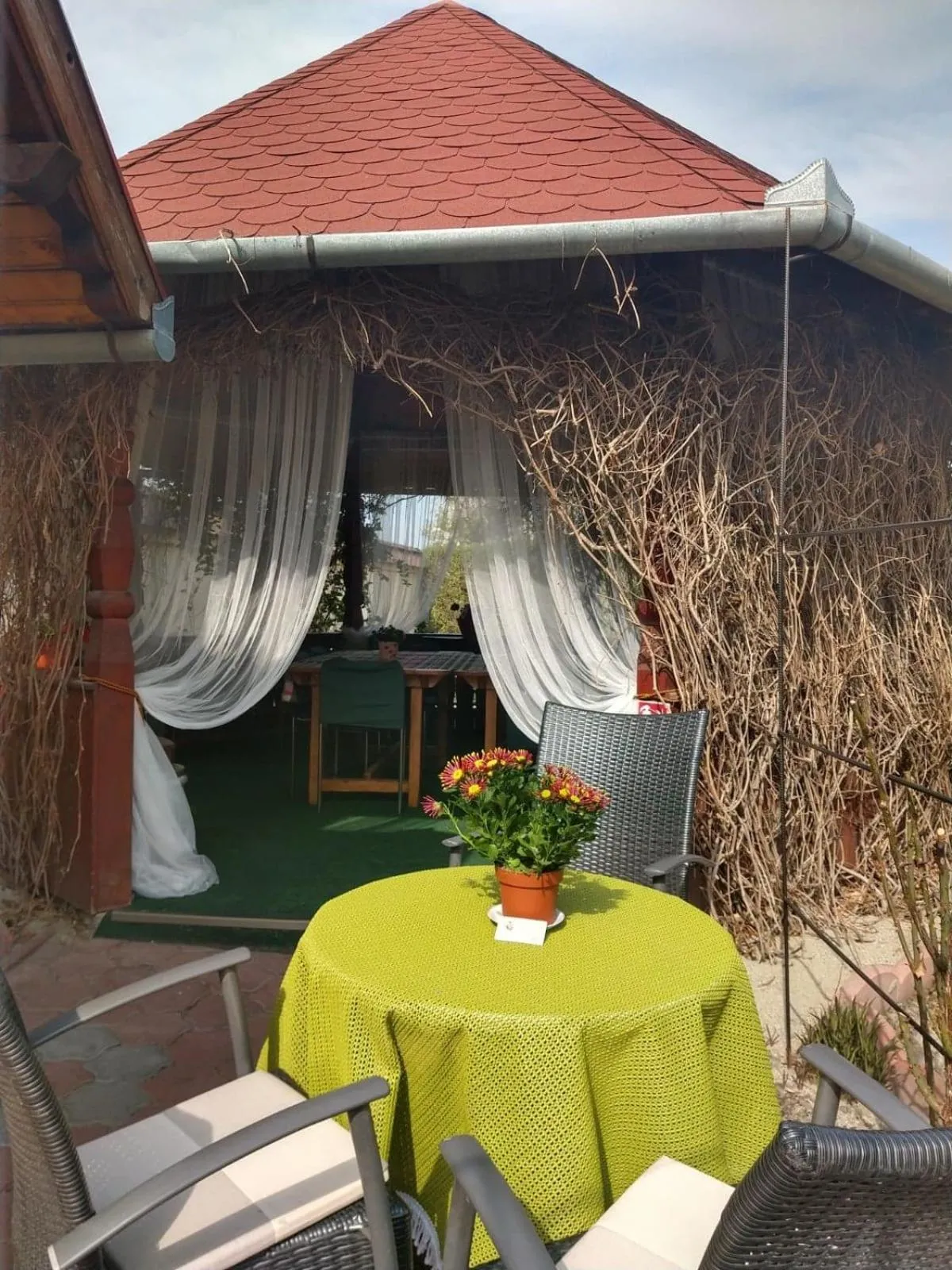 BBQ facilities in Pensiunea Magnolia