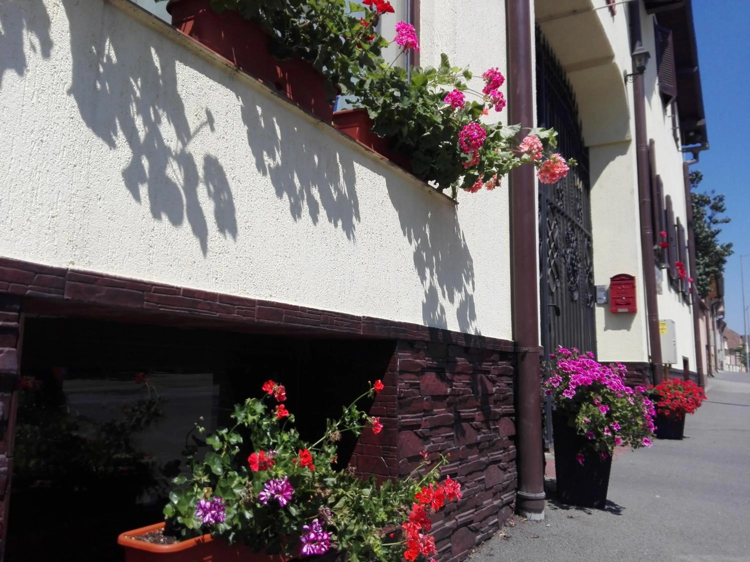 Bird's eye view in Pensiunea Magnolia