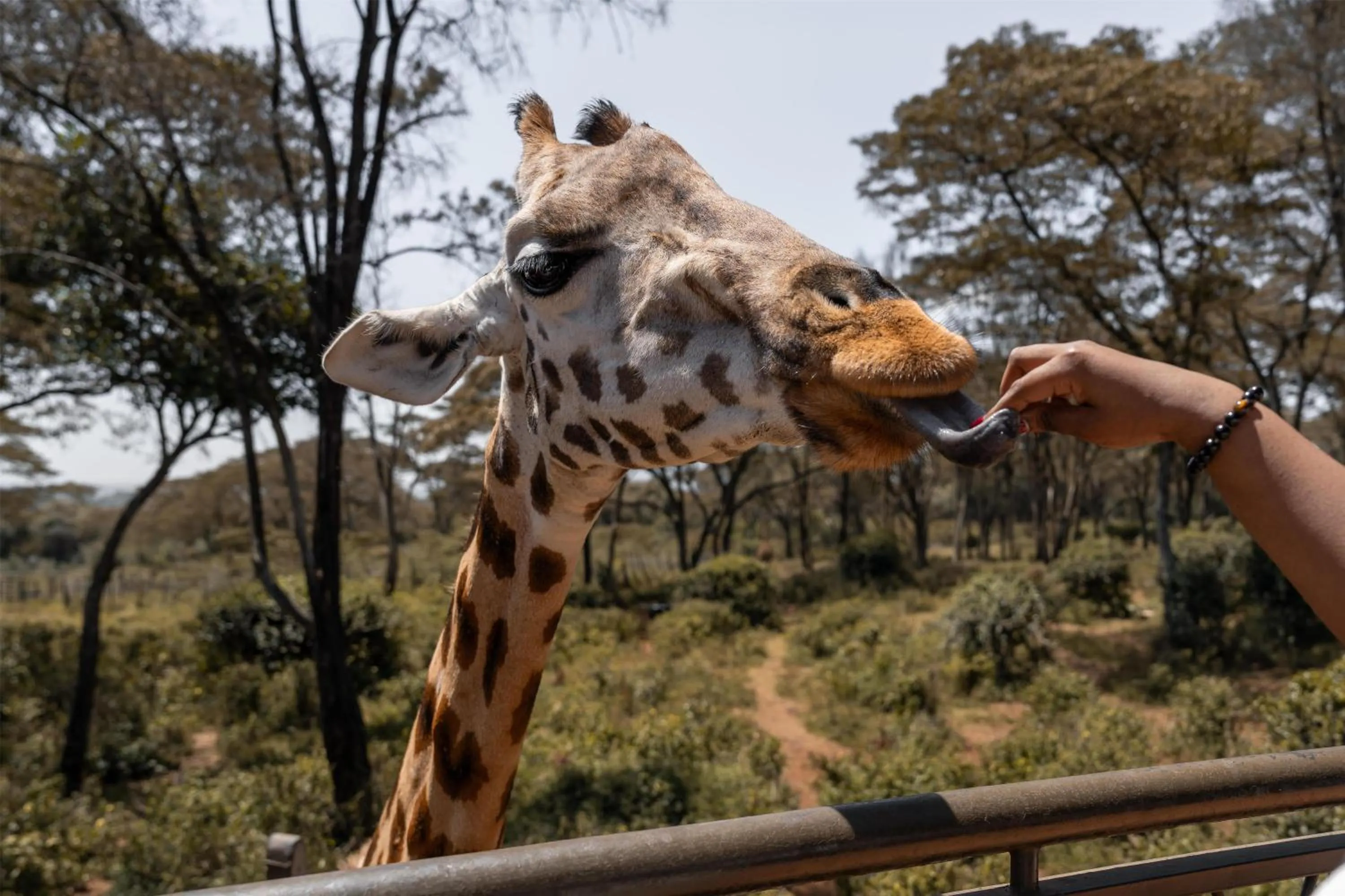 Nearby landmark in Radisson Blu Hotel, Nairobi Upper Hill