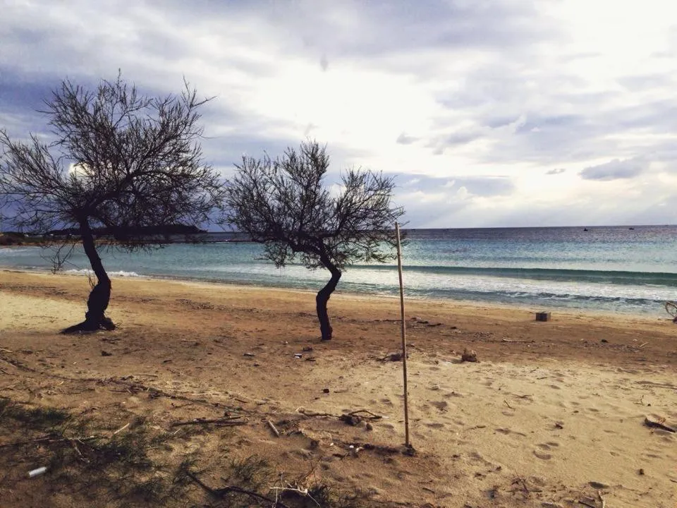 Winter in B&B Terre dì Montecoco