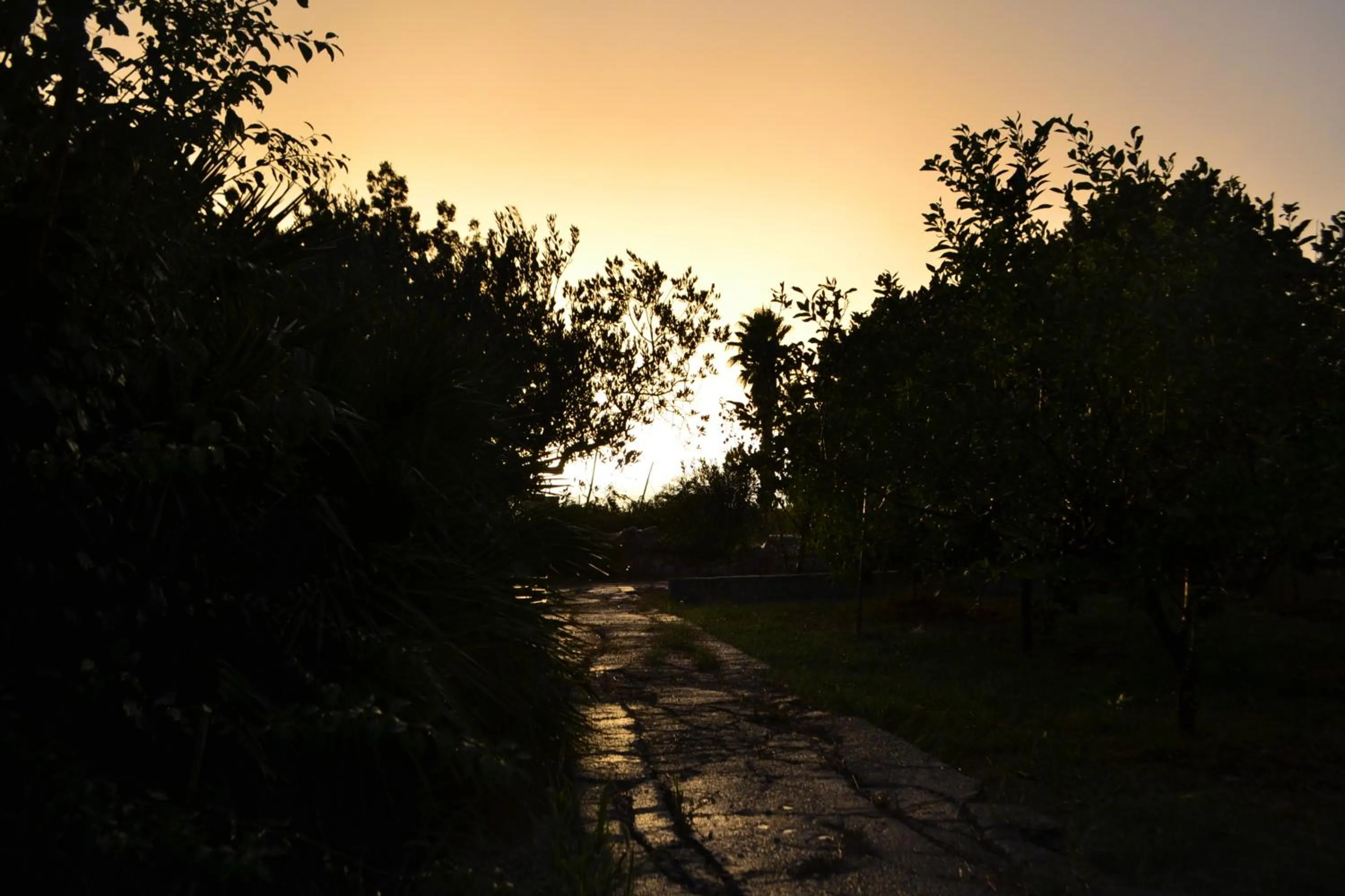 Garden in B&B Terre dì Montecoco