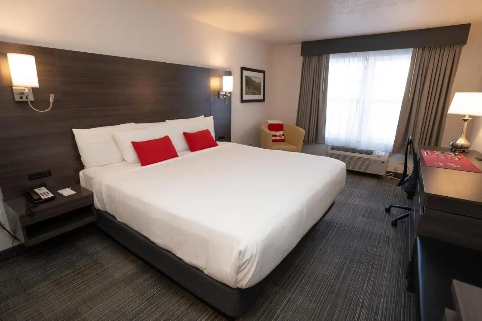 King Room in University Guest House and Conference Center King Room in University Guest House and Conference Center