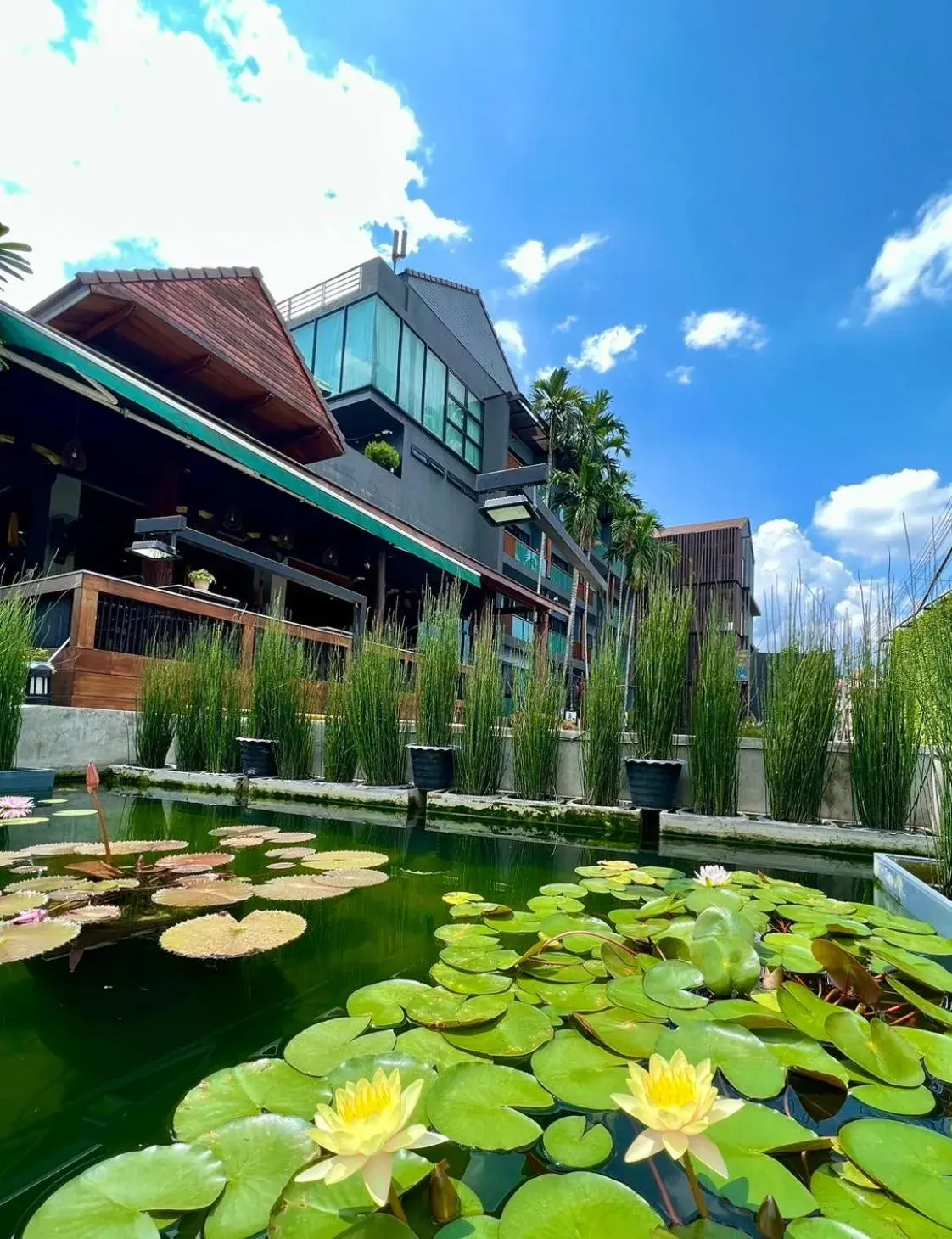 Property building in Le Naview @Prasingh Property building in Le Naview @Prasingh