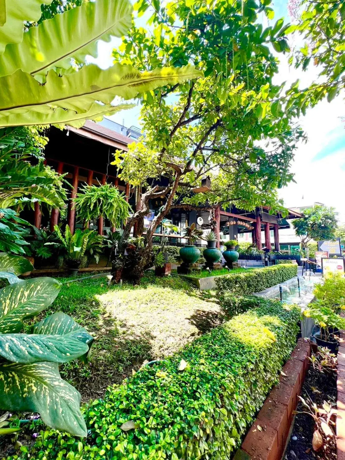 Natural landscape in Le Naview @Prasingh Natural landscape in Le Naview @Prasingh