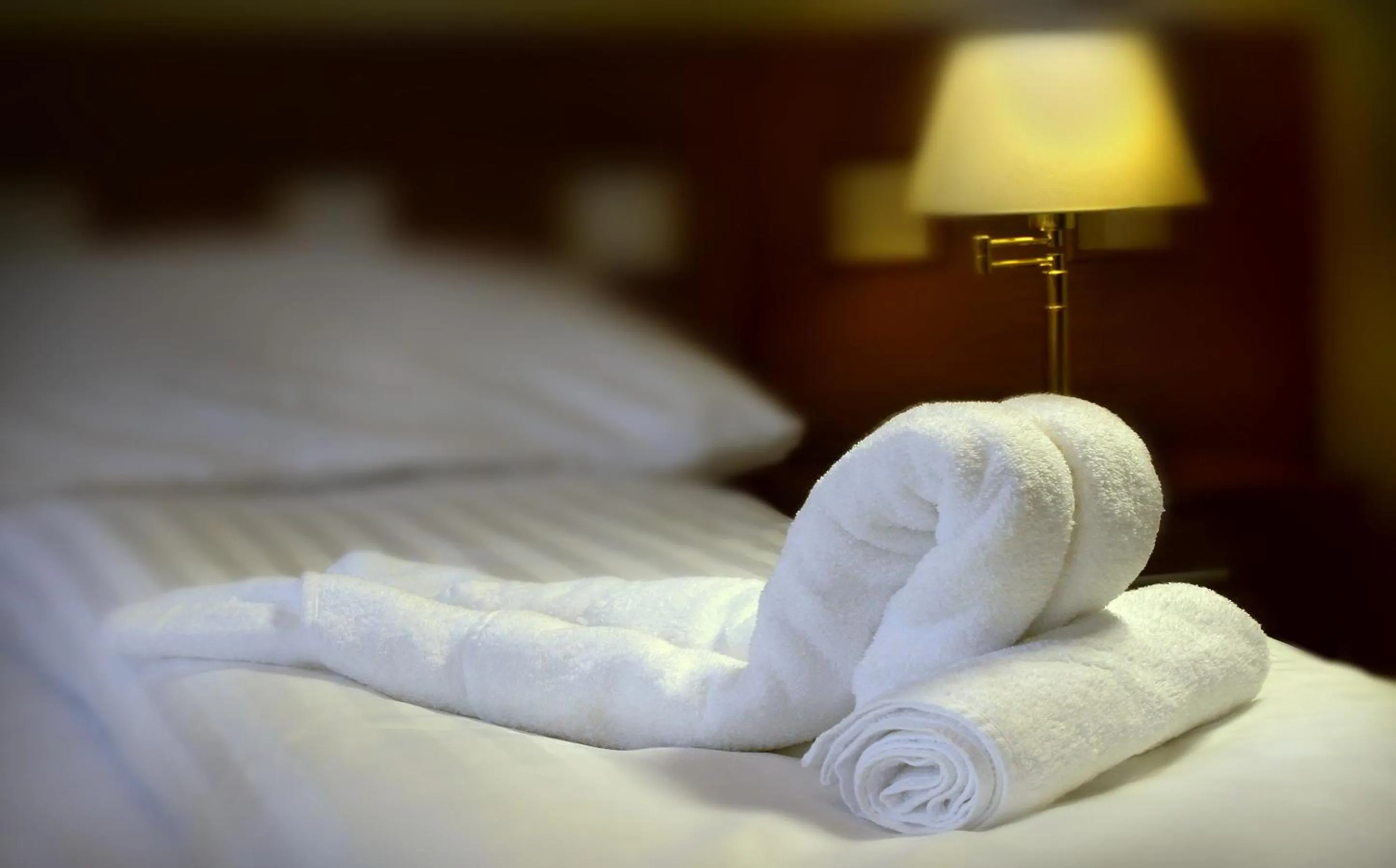 Photo of the whole room, Bed in Hotel Pod Zeleným Dubem