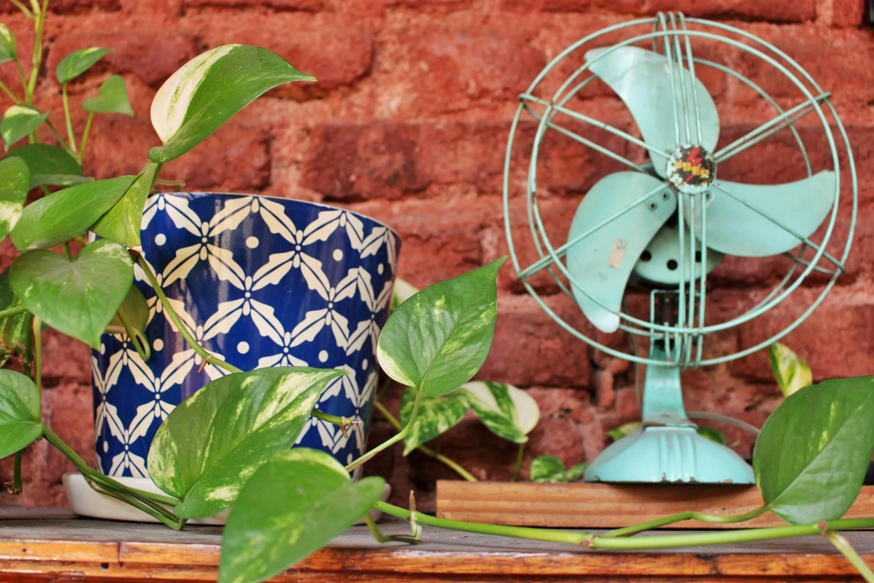 Decorative detail in DEL900 Hotel Boutique