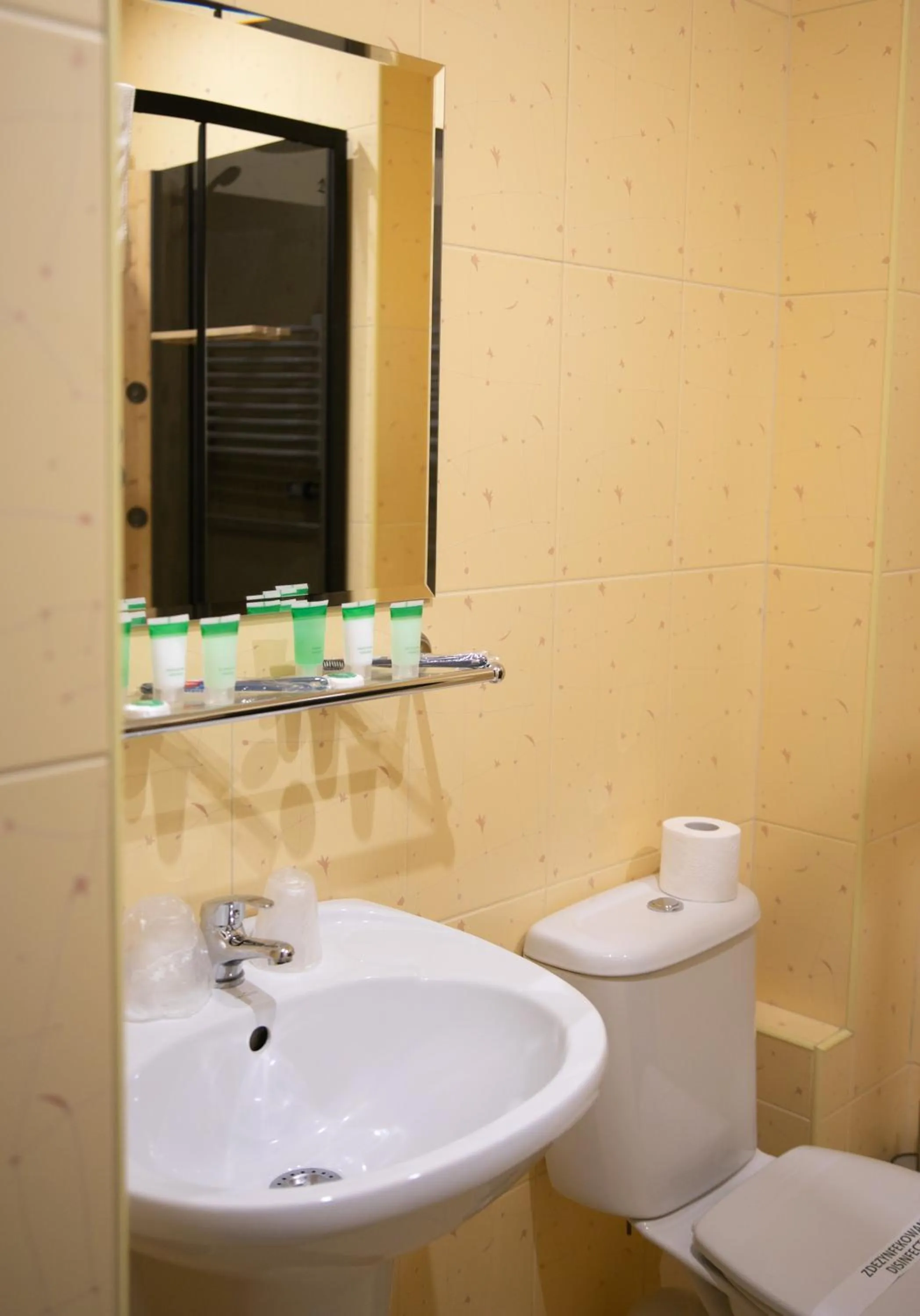 Bathroom in Hotel Piast