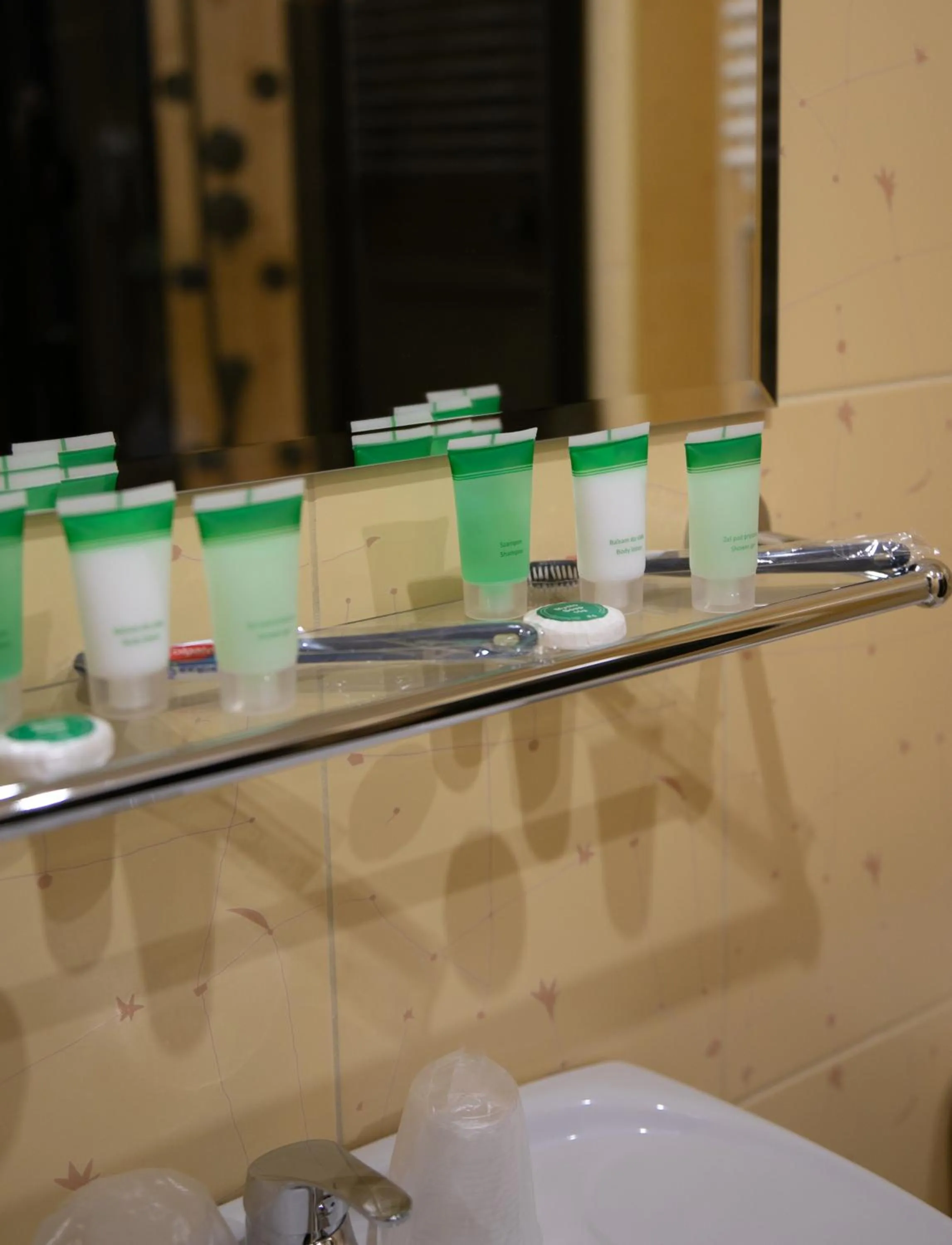 Bathroom in Hotel Piast